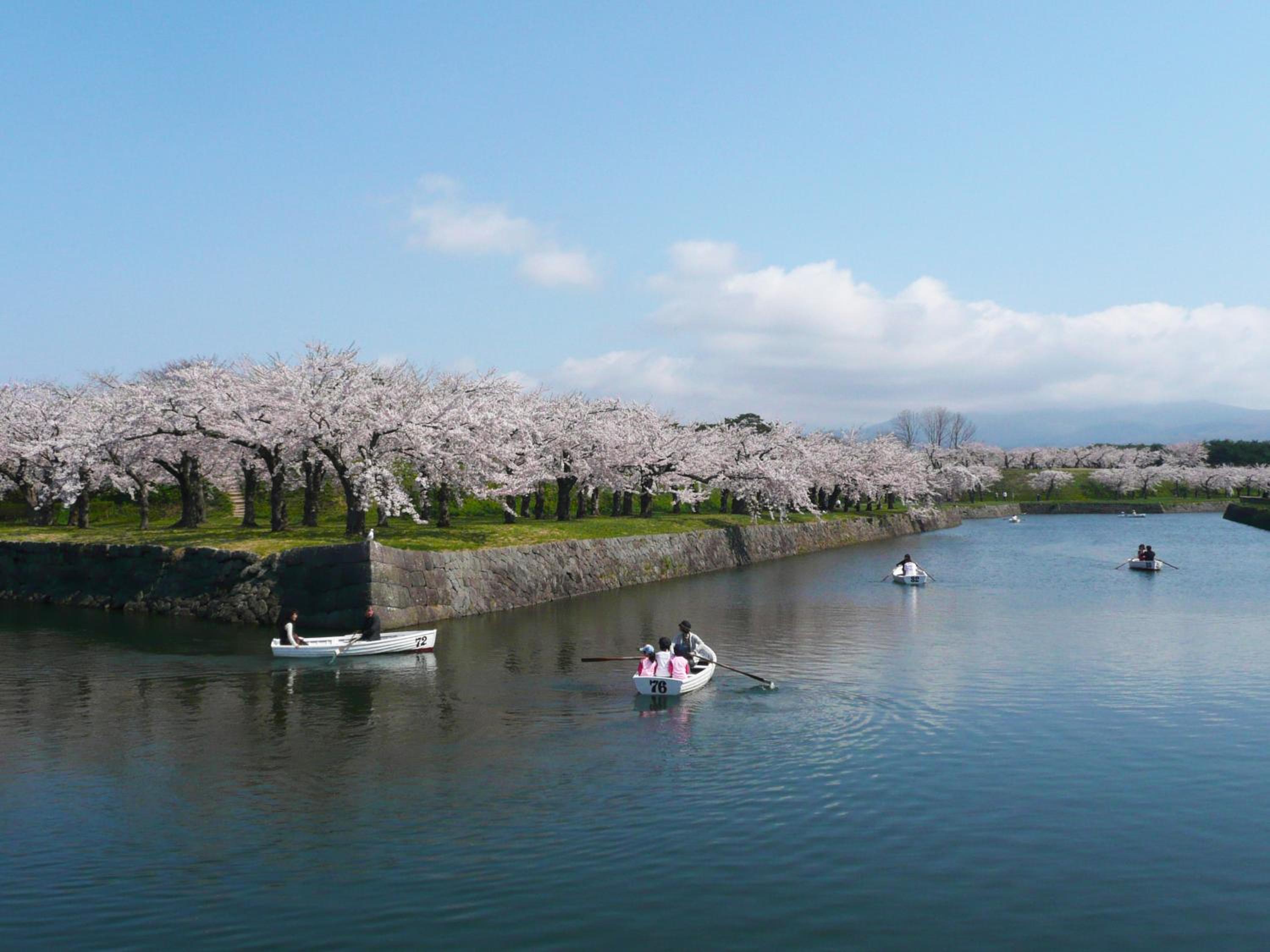 Wakamatsu Hot Spring Resort