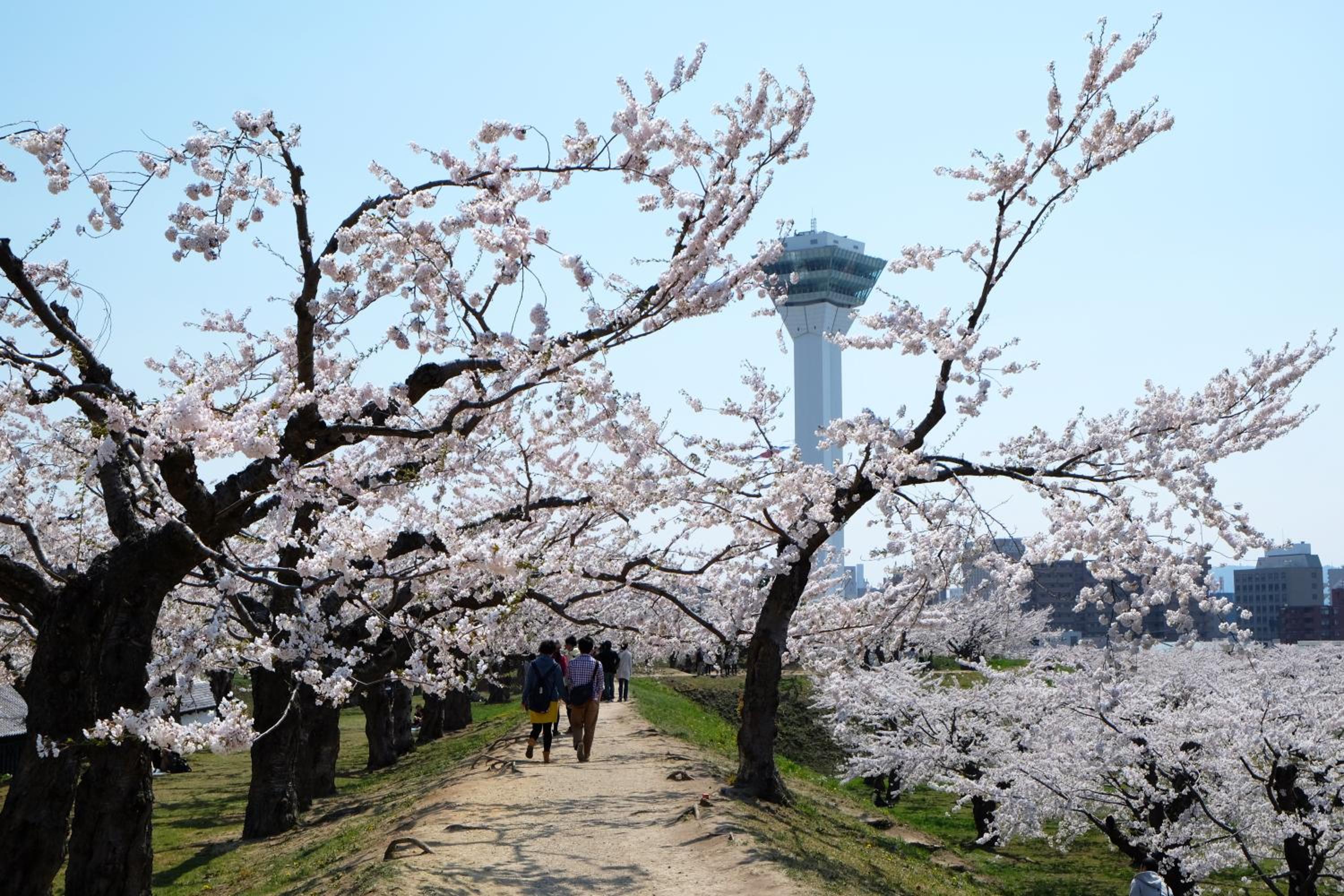 Wakamatsu Hot Spring Resort