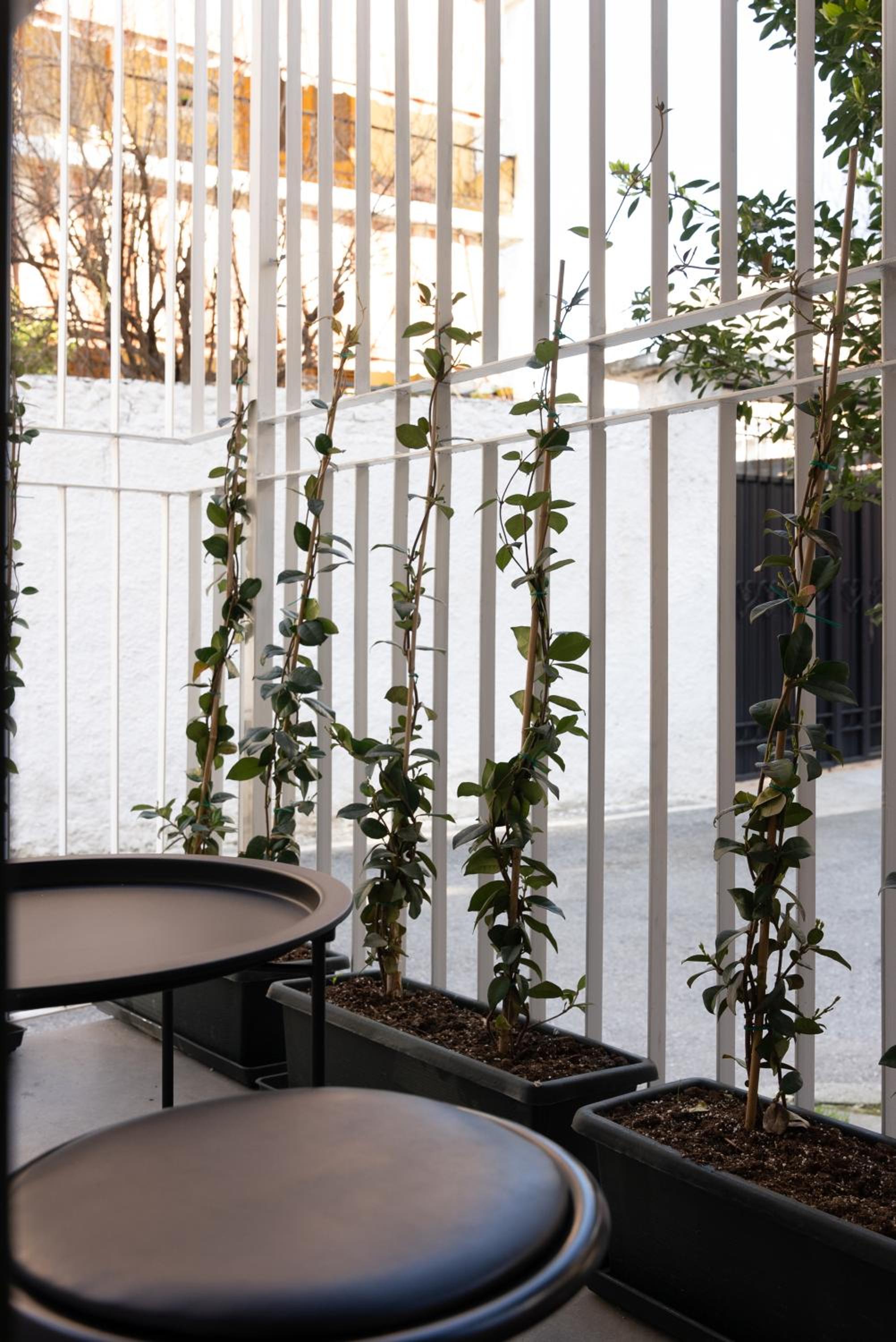 City Center Apartment