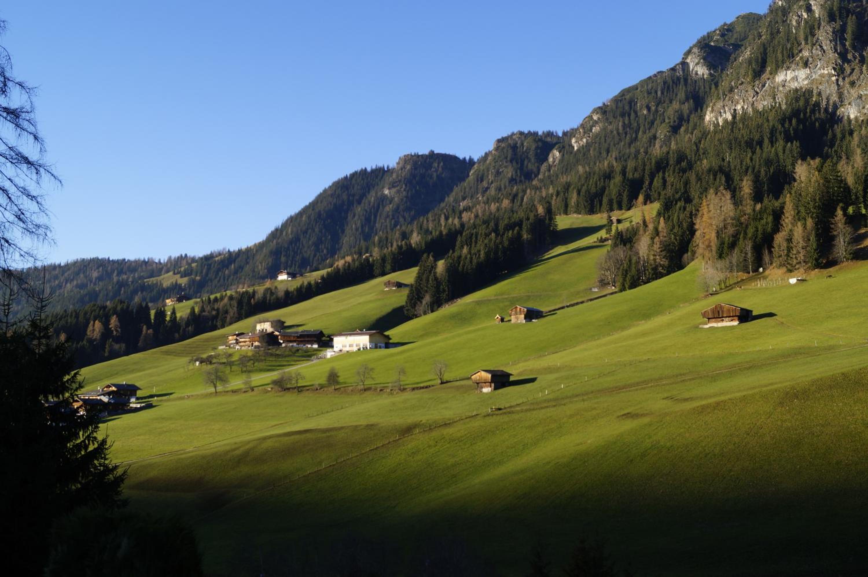 Hanslerfeld