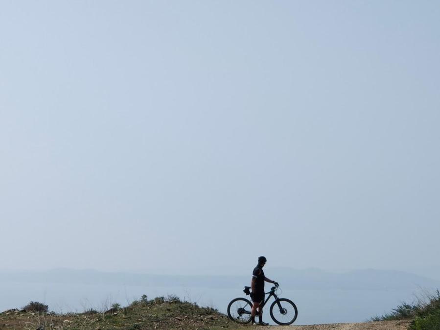 Photo 40