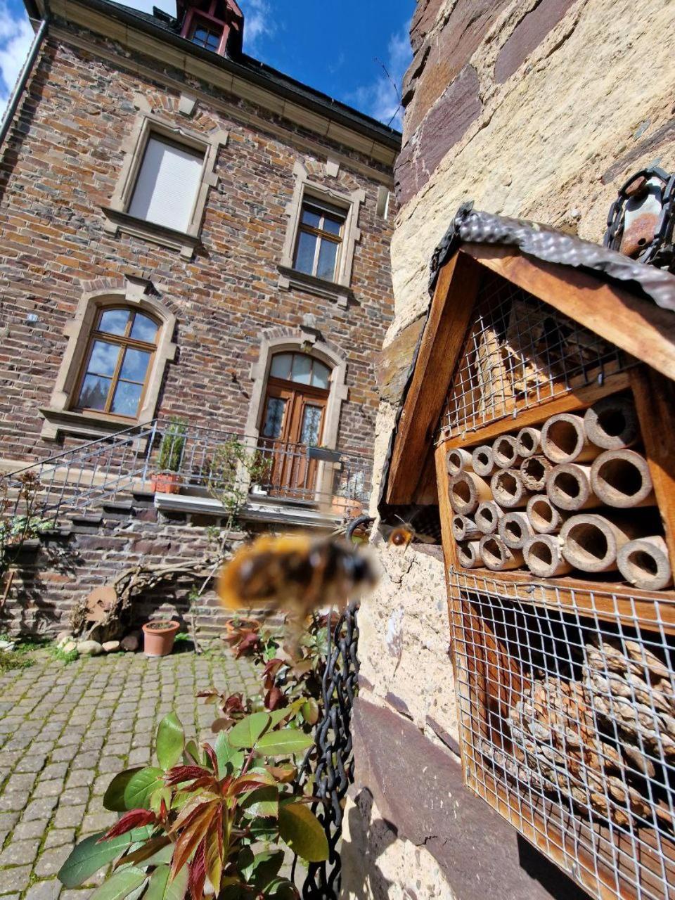 Winzervilla