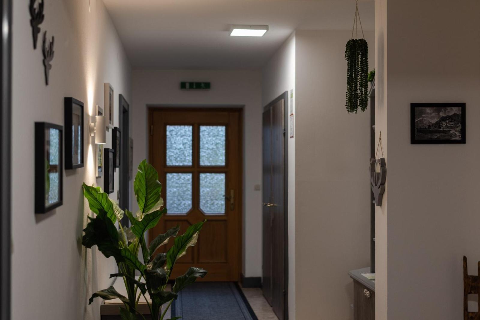 OTILIA apartment