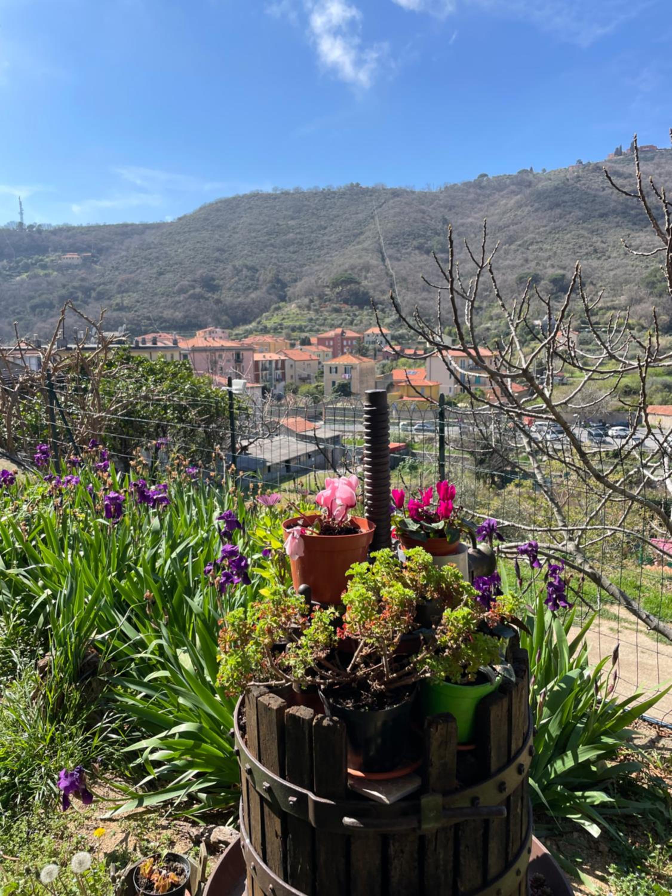other