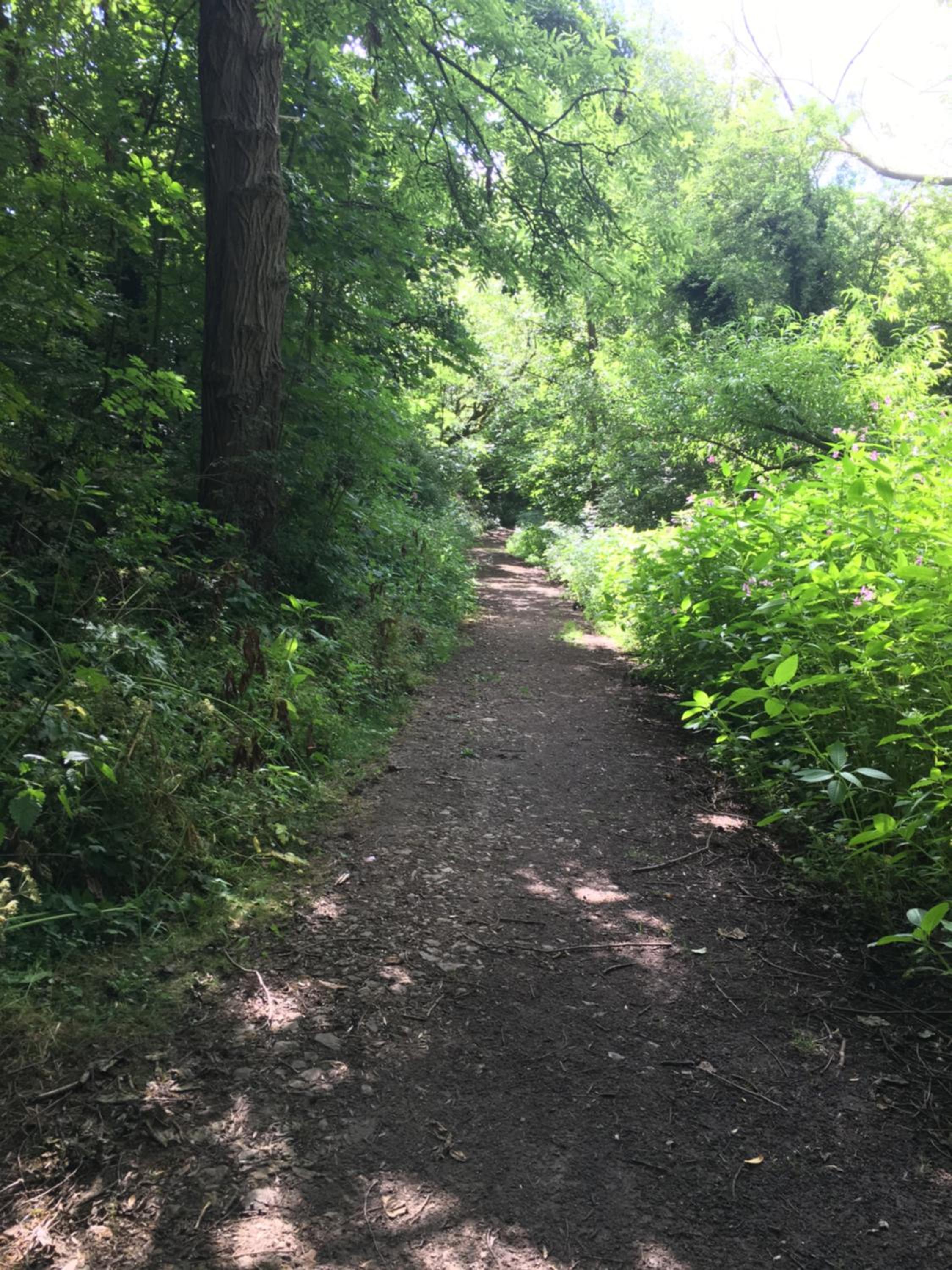 Photo 38
