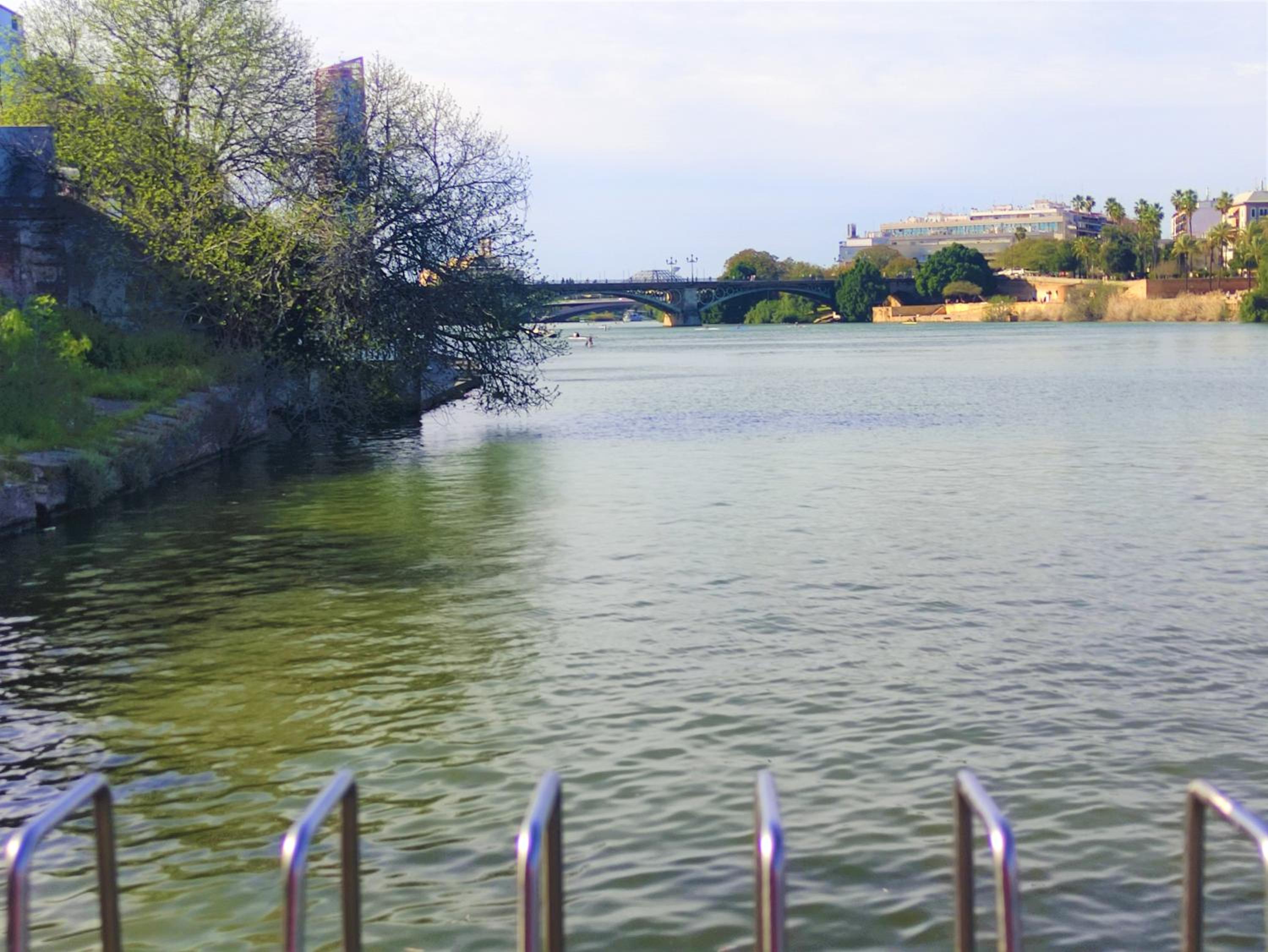 Vive Triana