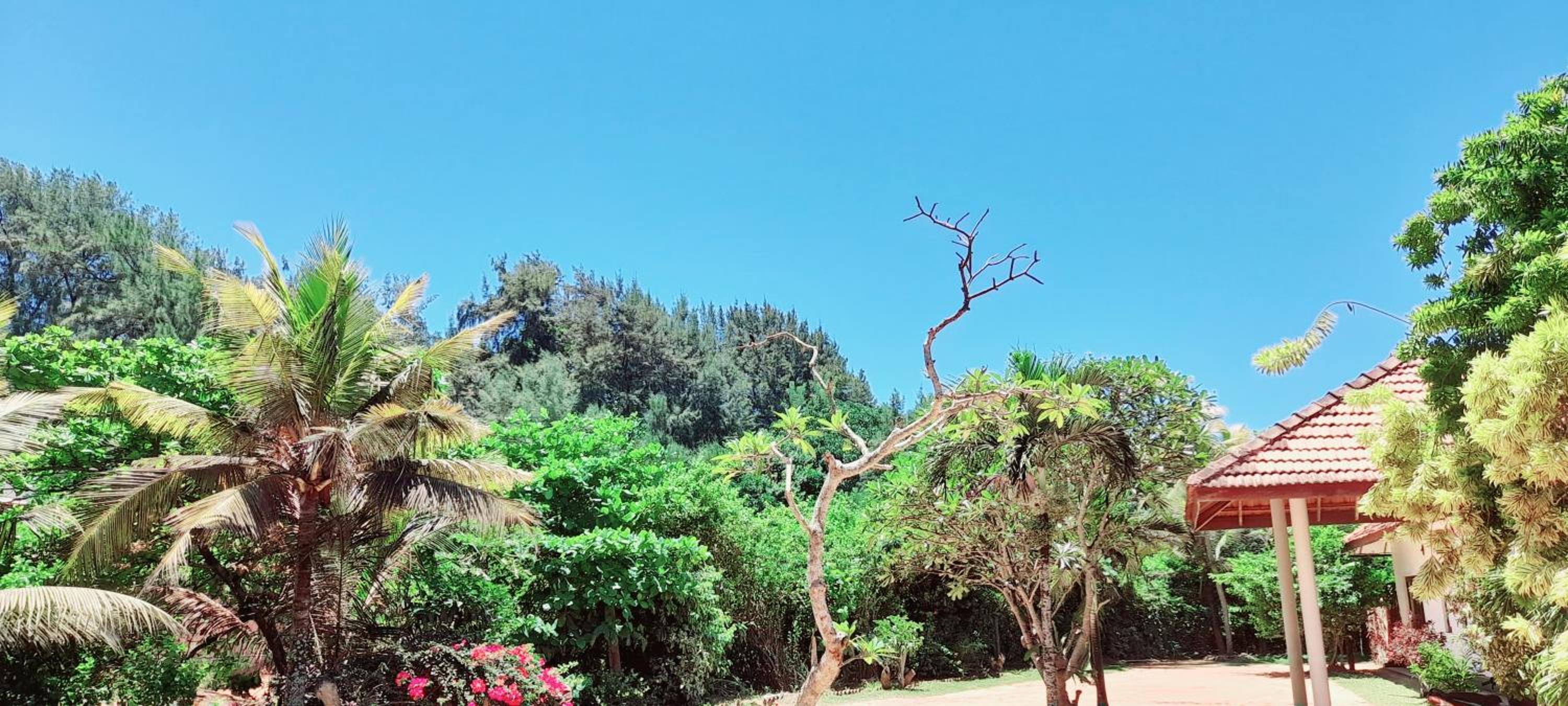 Isuru Holiday Inn view 2
