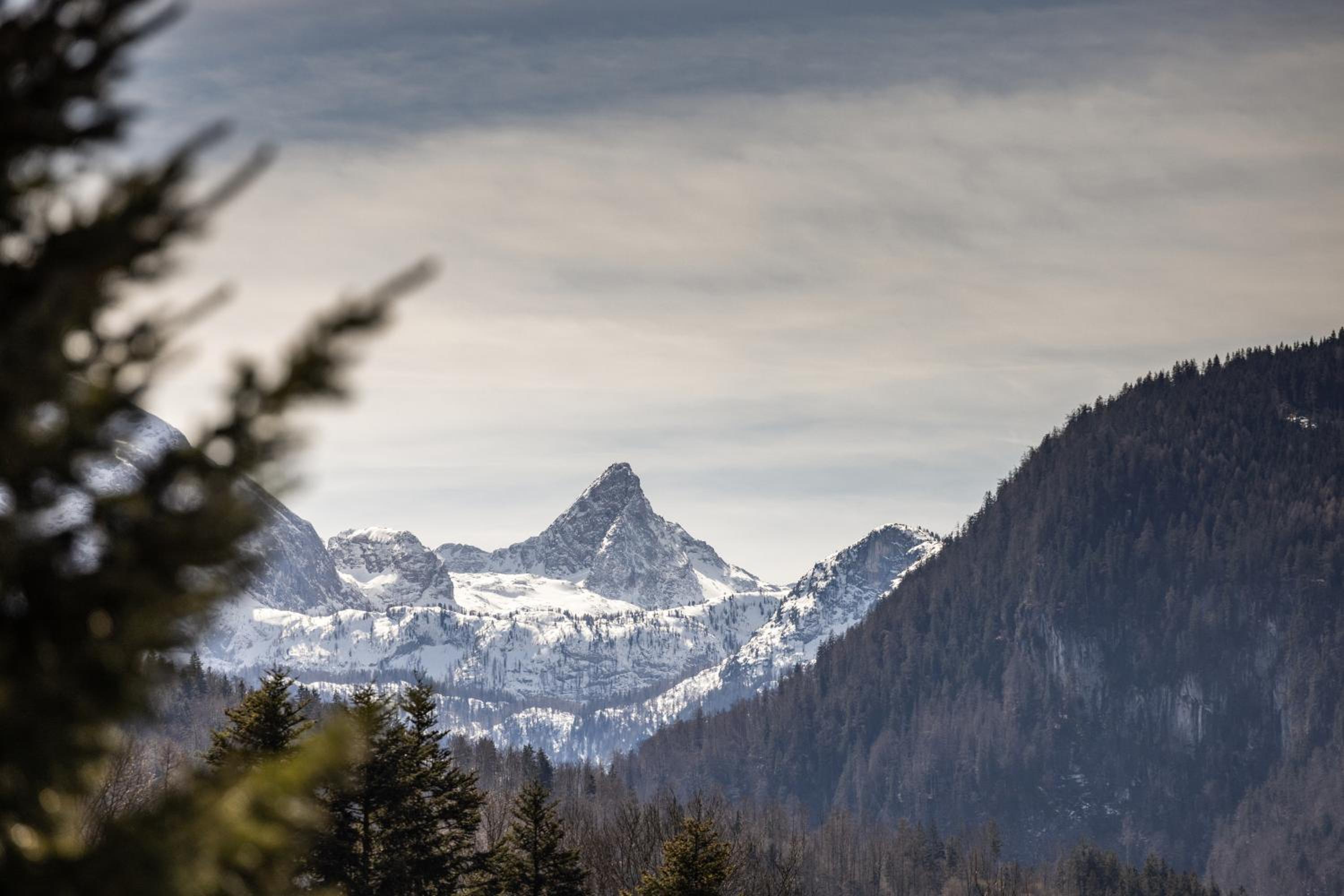 FeWo Berkristall mit Hallenbad