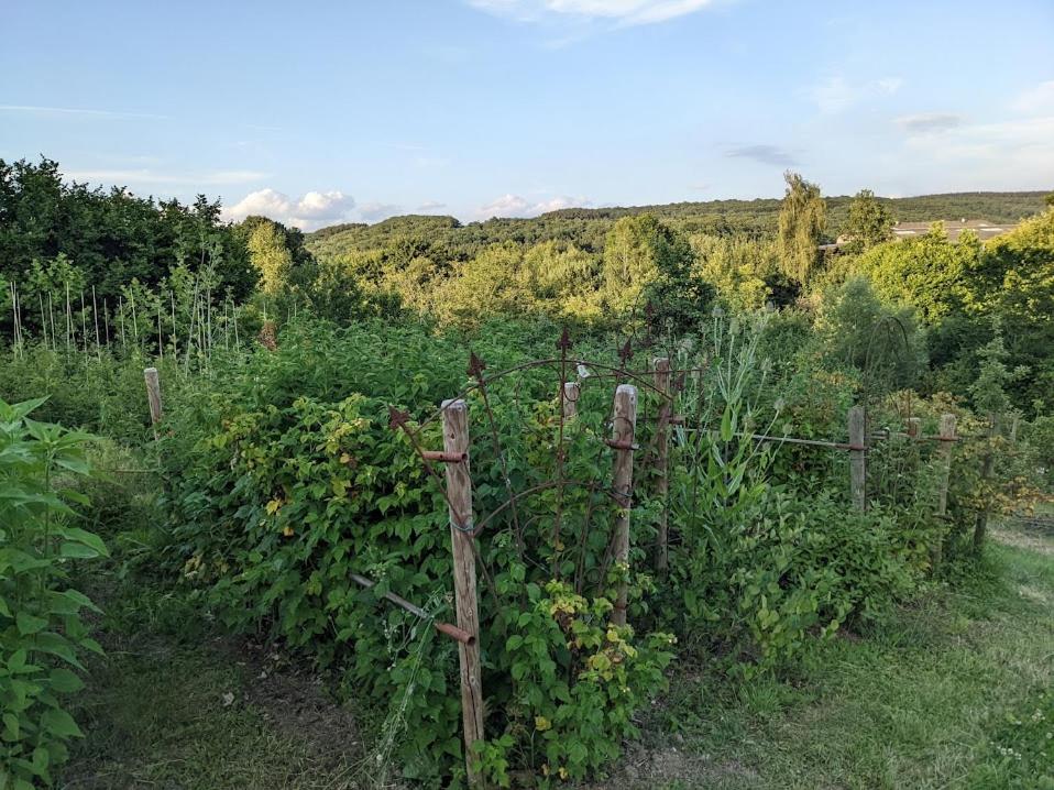 La Jardinière