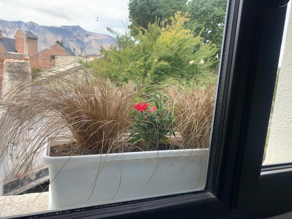 Hotel Departamento Árbol Grande - Image 1