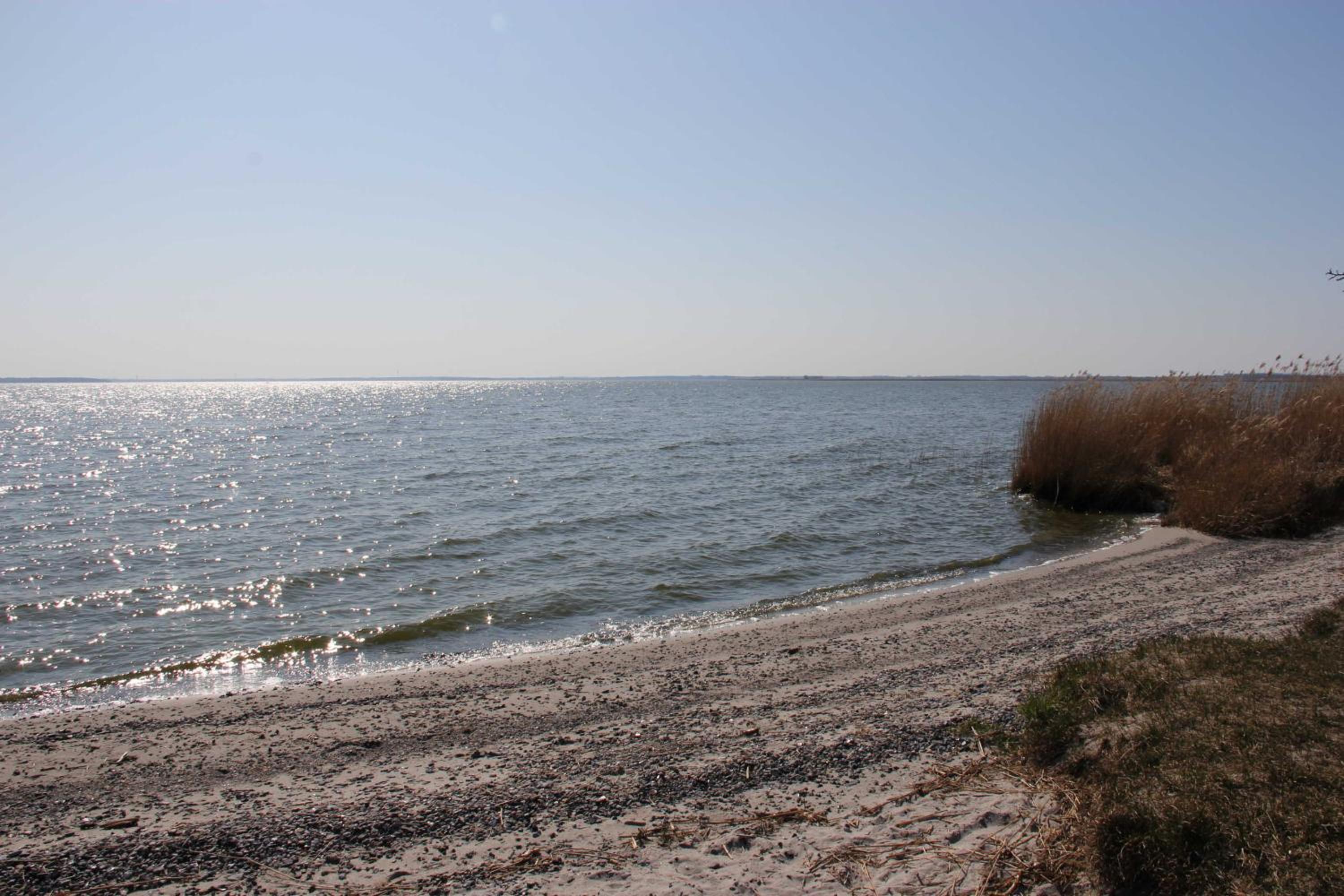 Boddenblick FW Anton