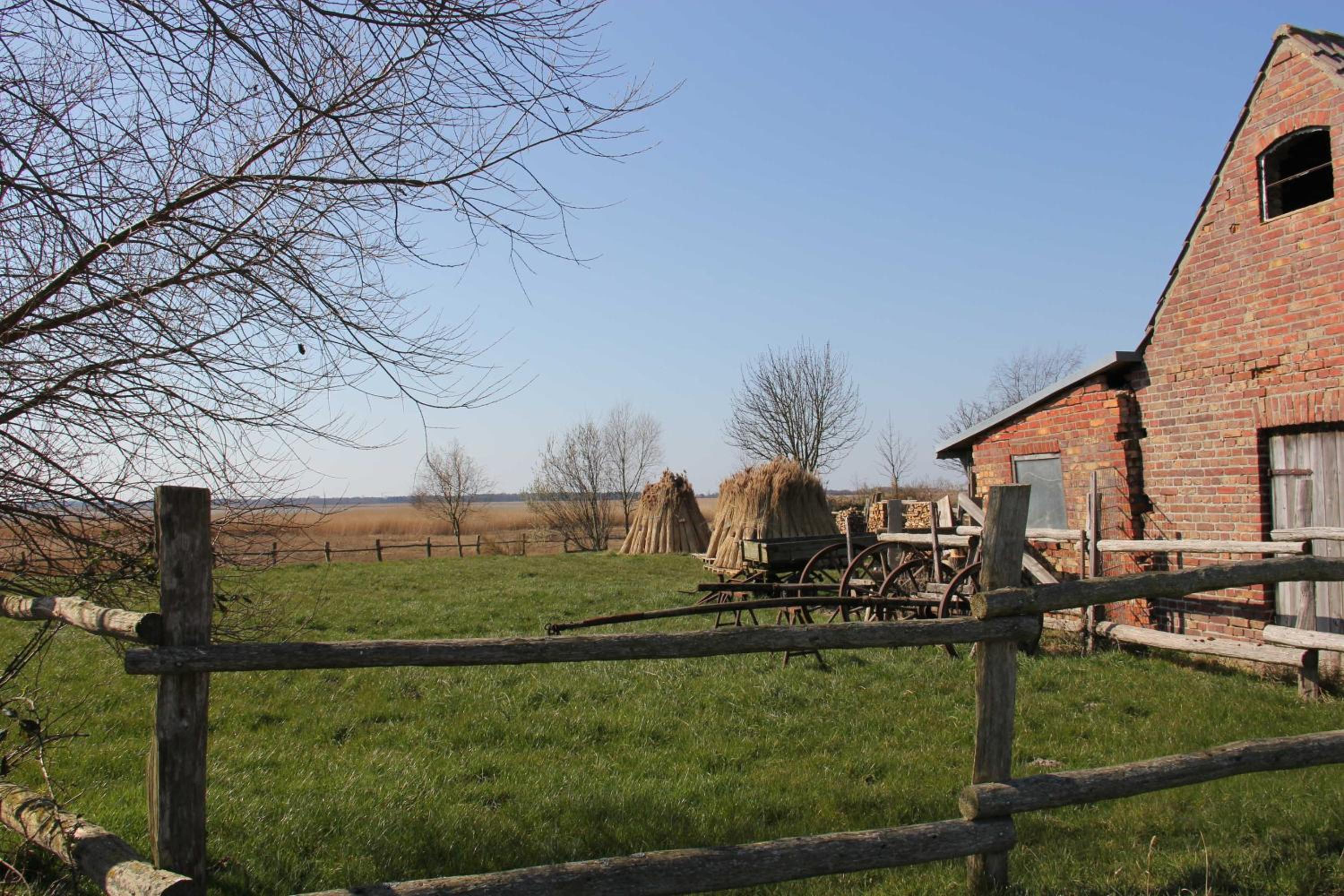 Boddenblick FW Anton