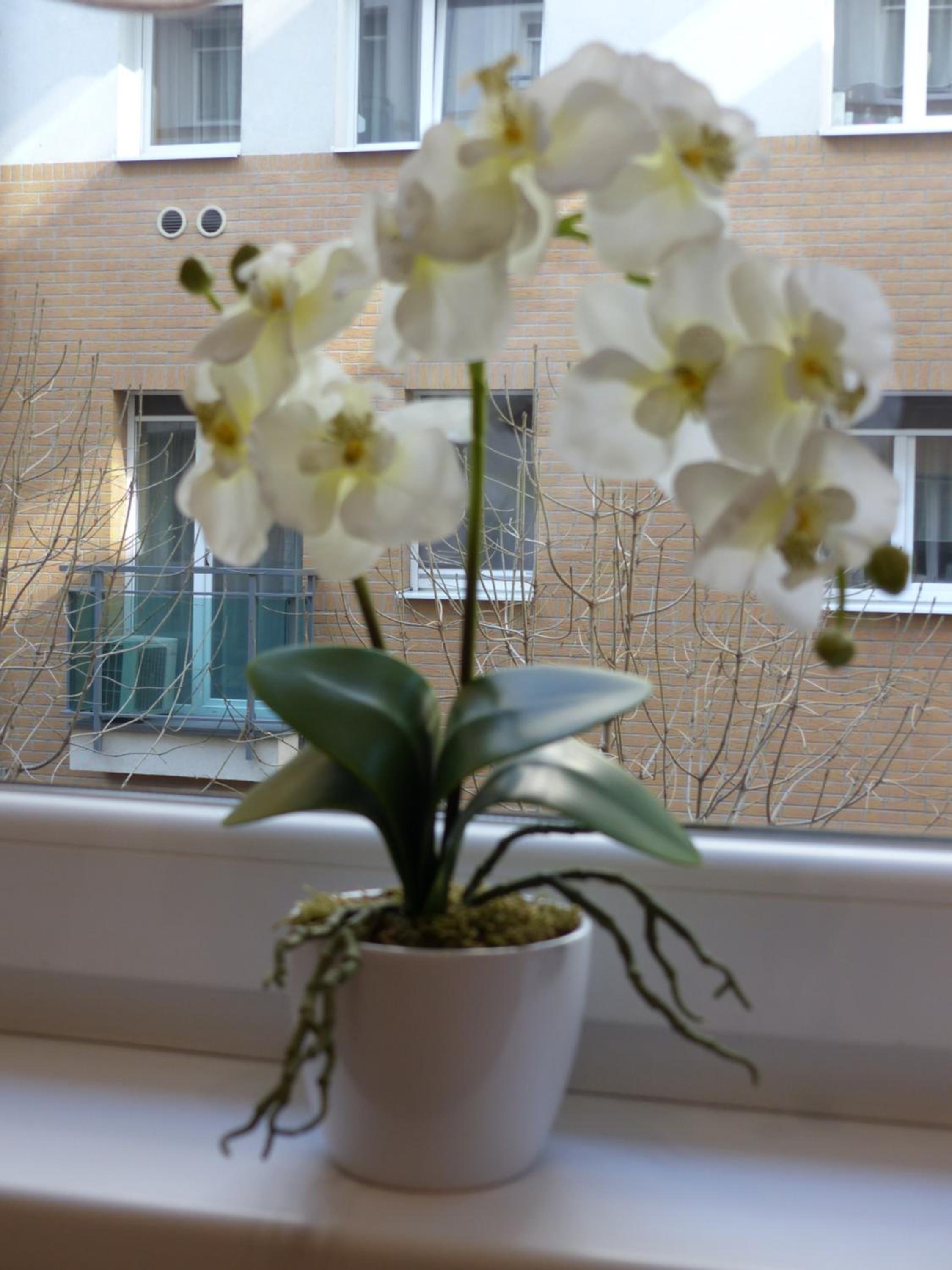 Apartment Avanti Budapest view 2