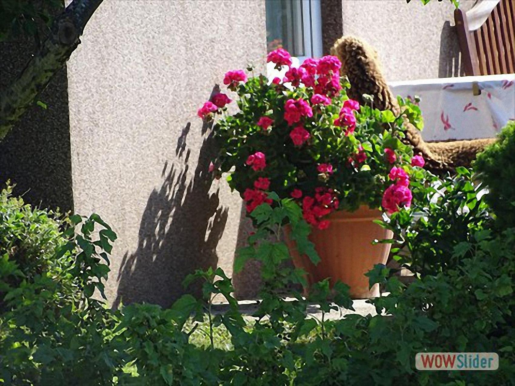 Ferienwohnung Greim