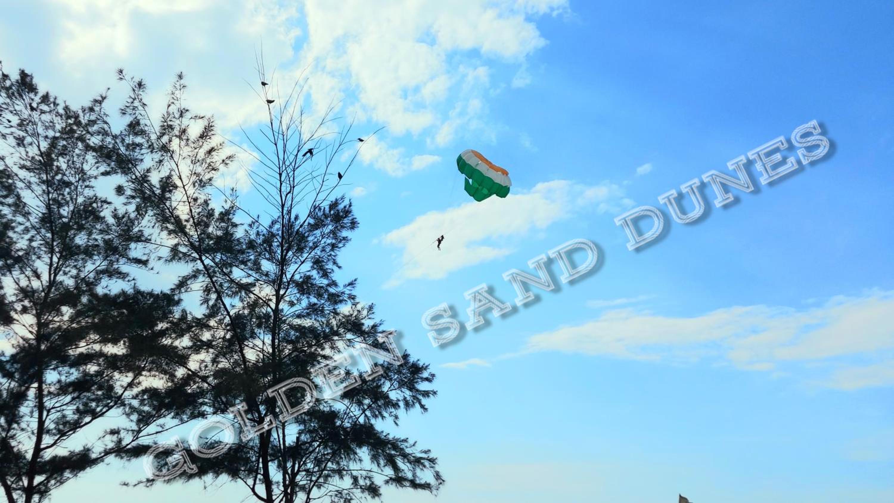 'Golden Sand Dunes' 1bhk Benaulim beach apartment view 4
