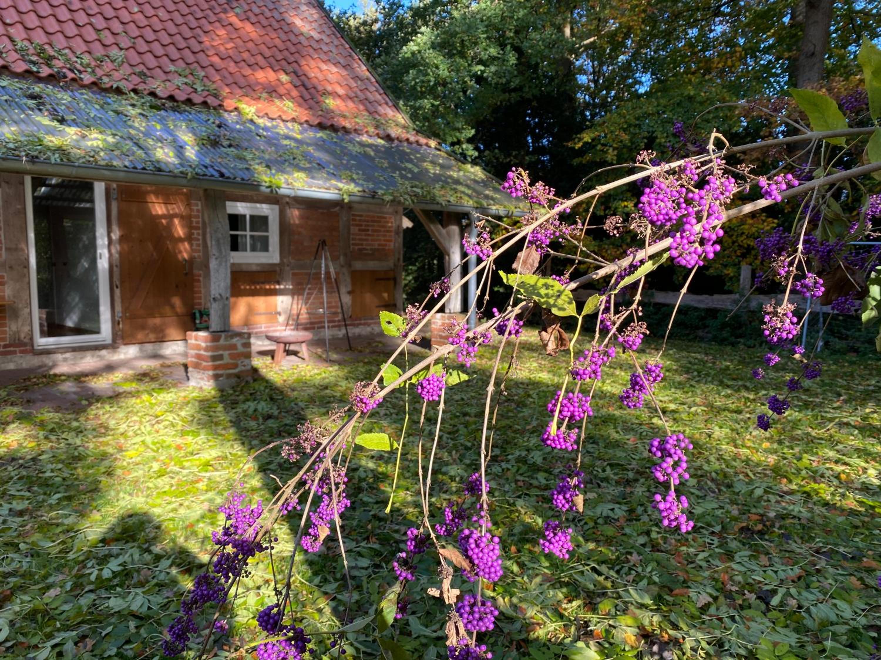 Cottage - Artland's Home - Landhaus für Familien und Gruppen