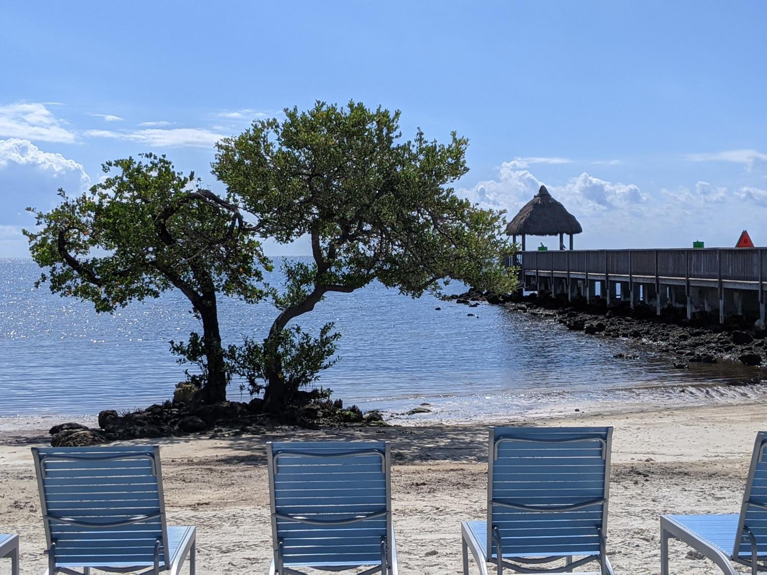 Ocean Oasis at Ocean Pointe