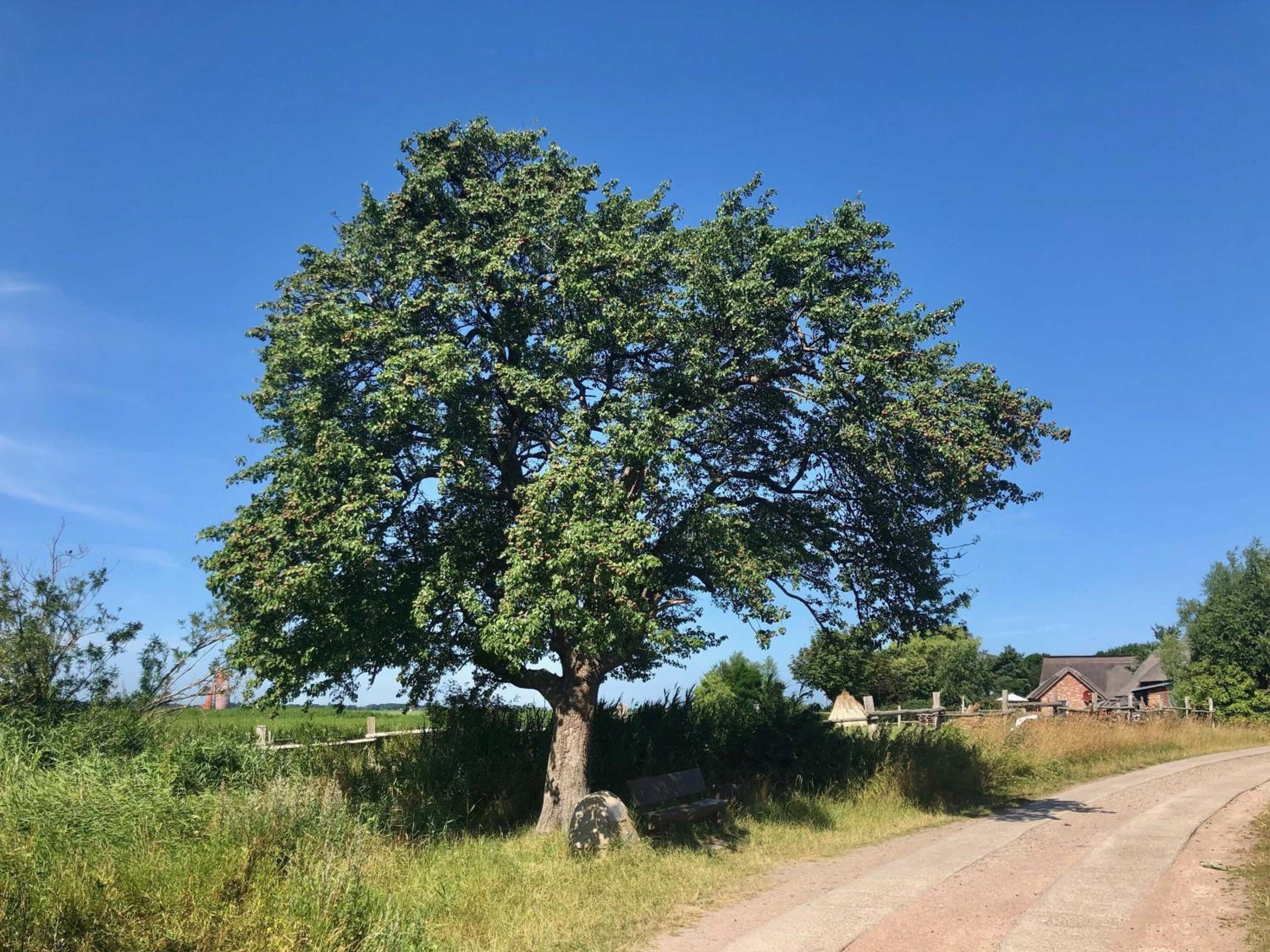 Boddenblick FW Marlen