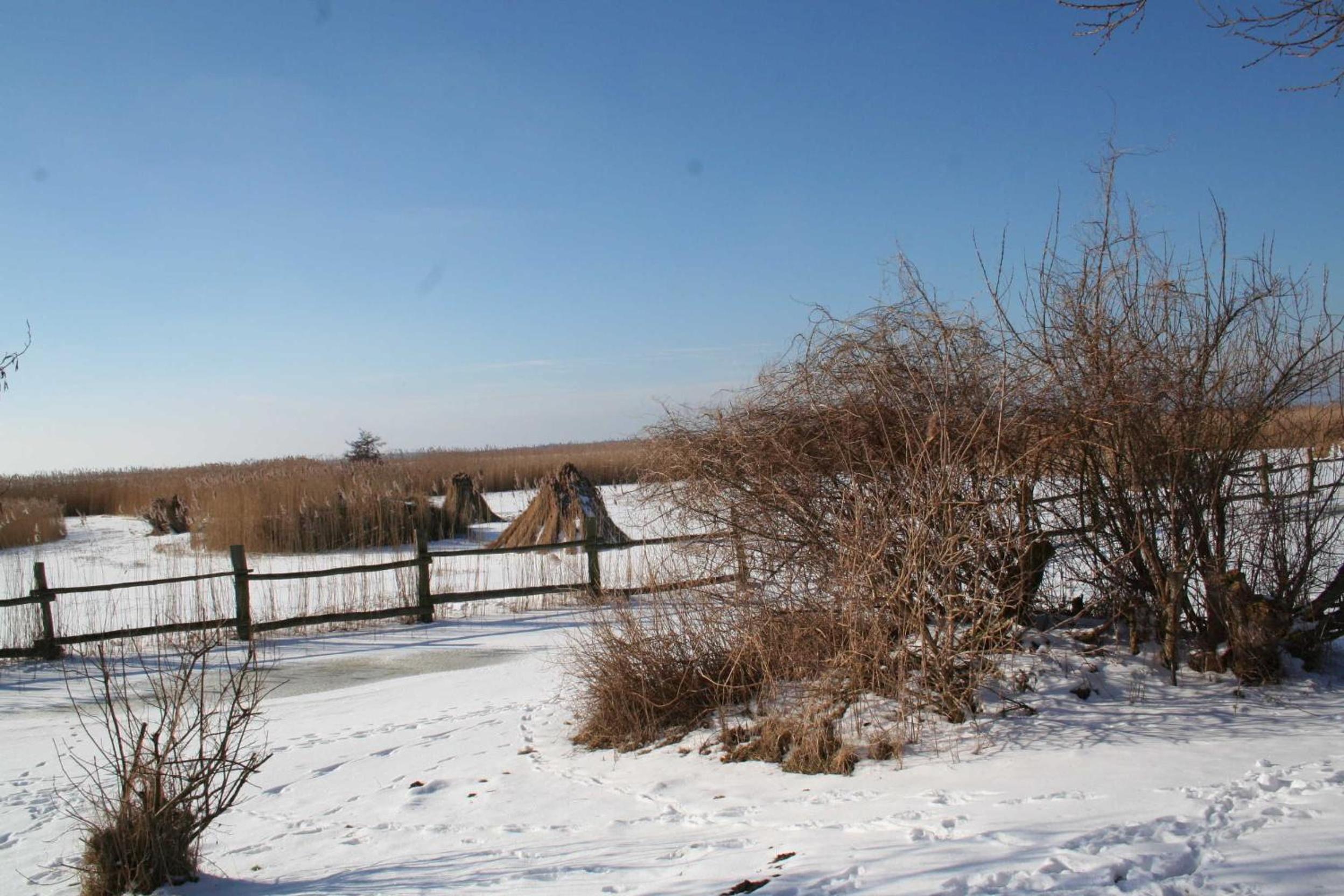 Boddenblick FW Marlen