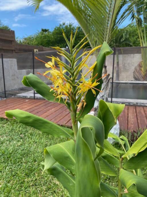 Villa HIMANI view 2