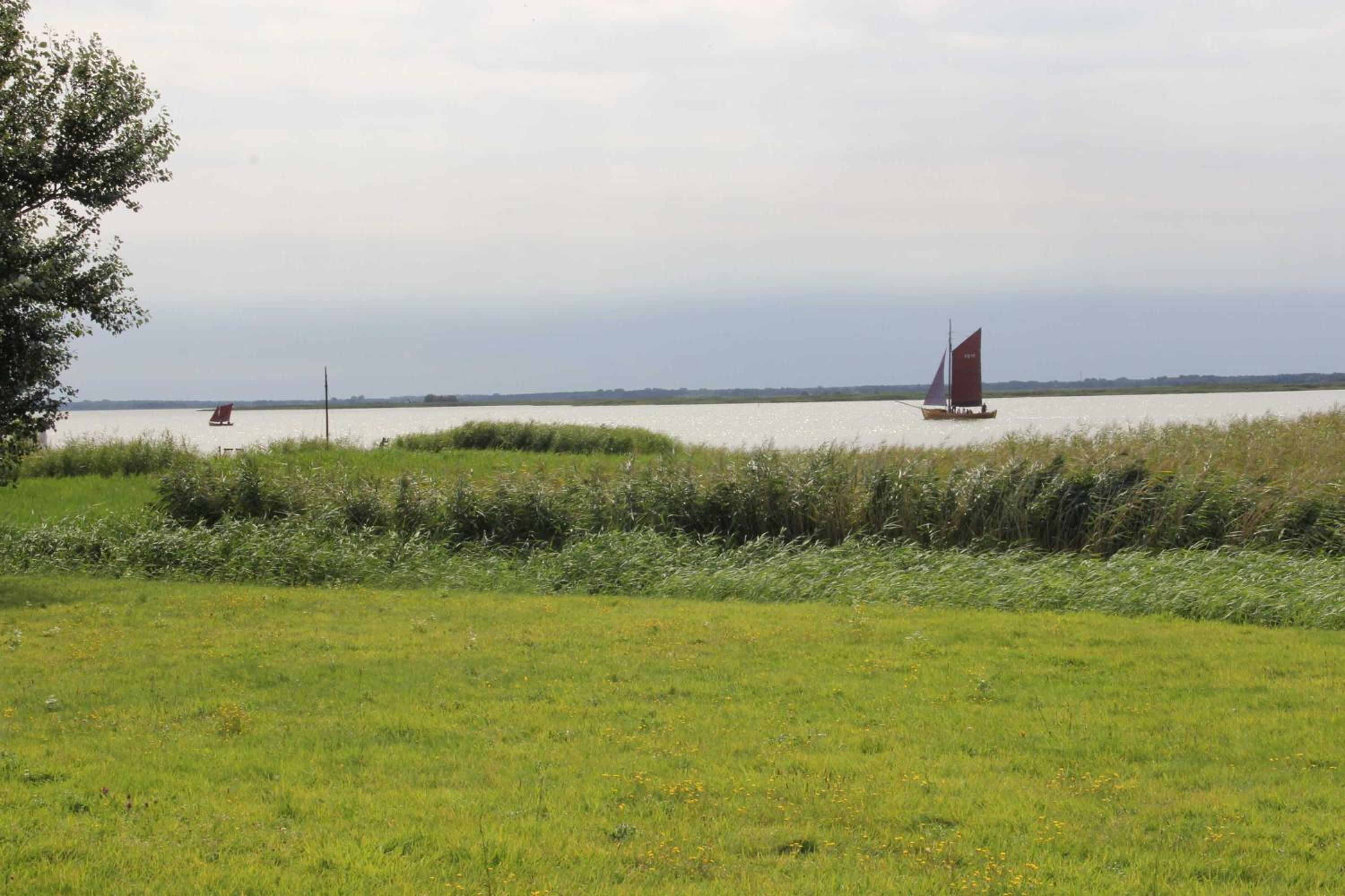Cathrins Boddenblick