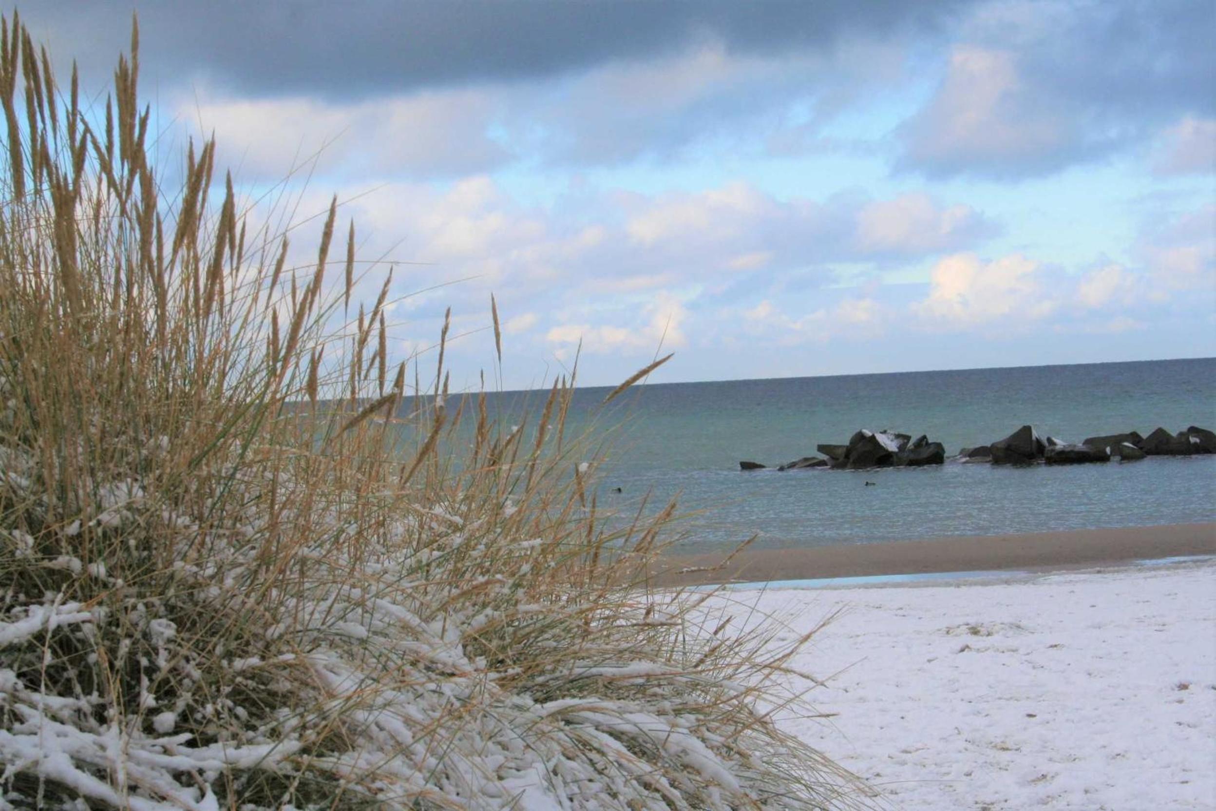 Cathrins Boddenblick