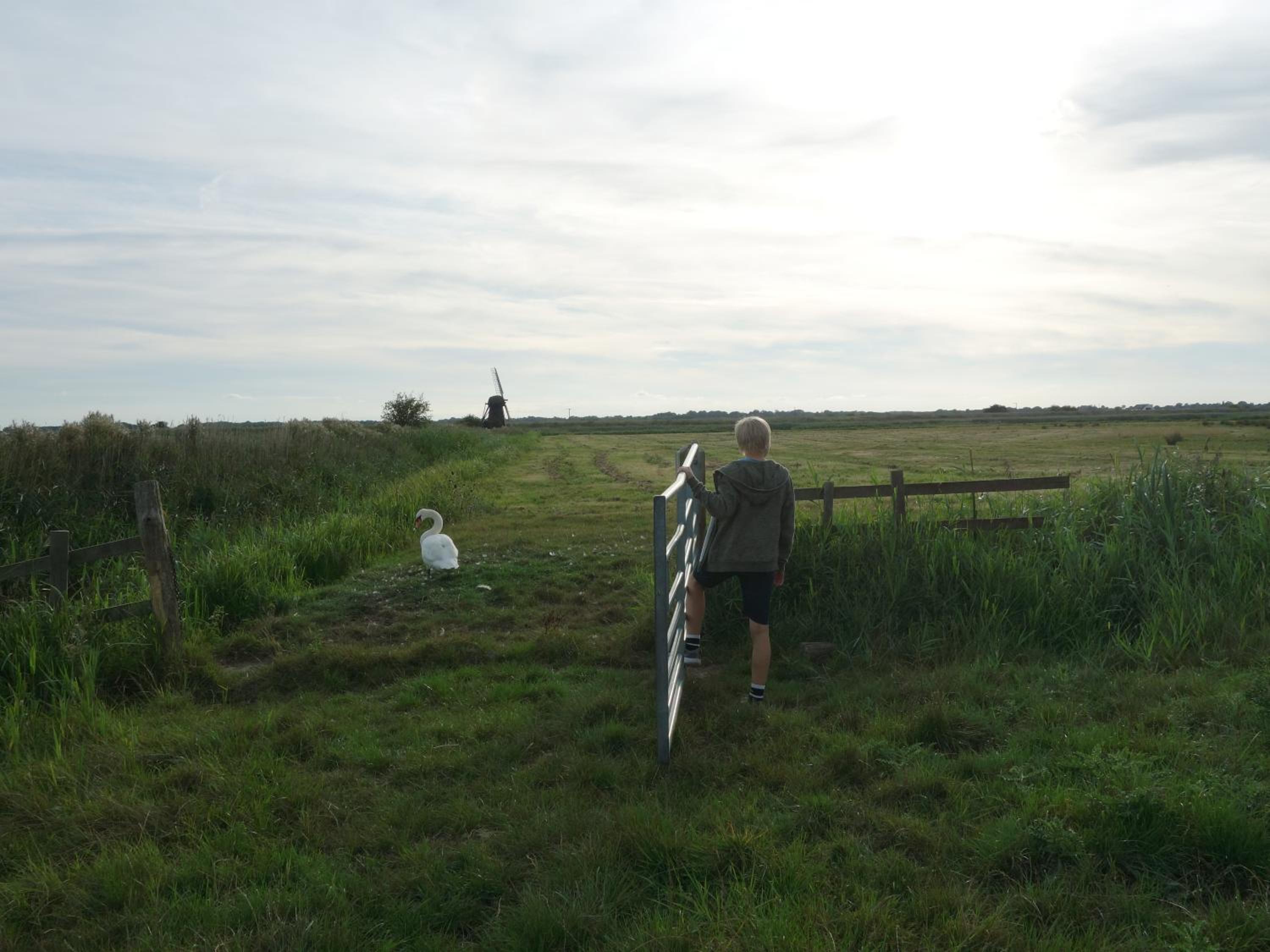 Photo 22