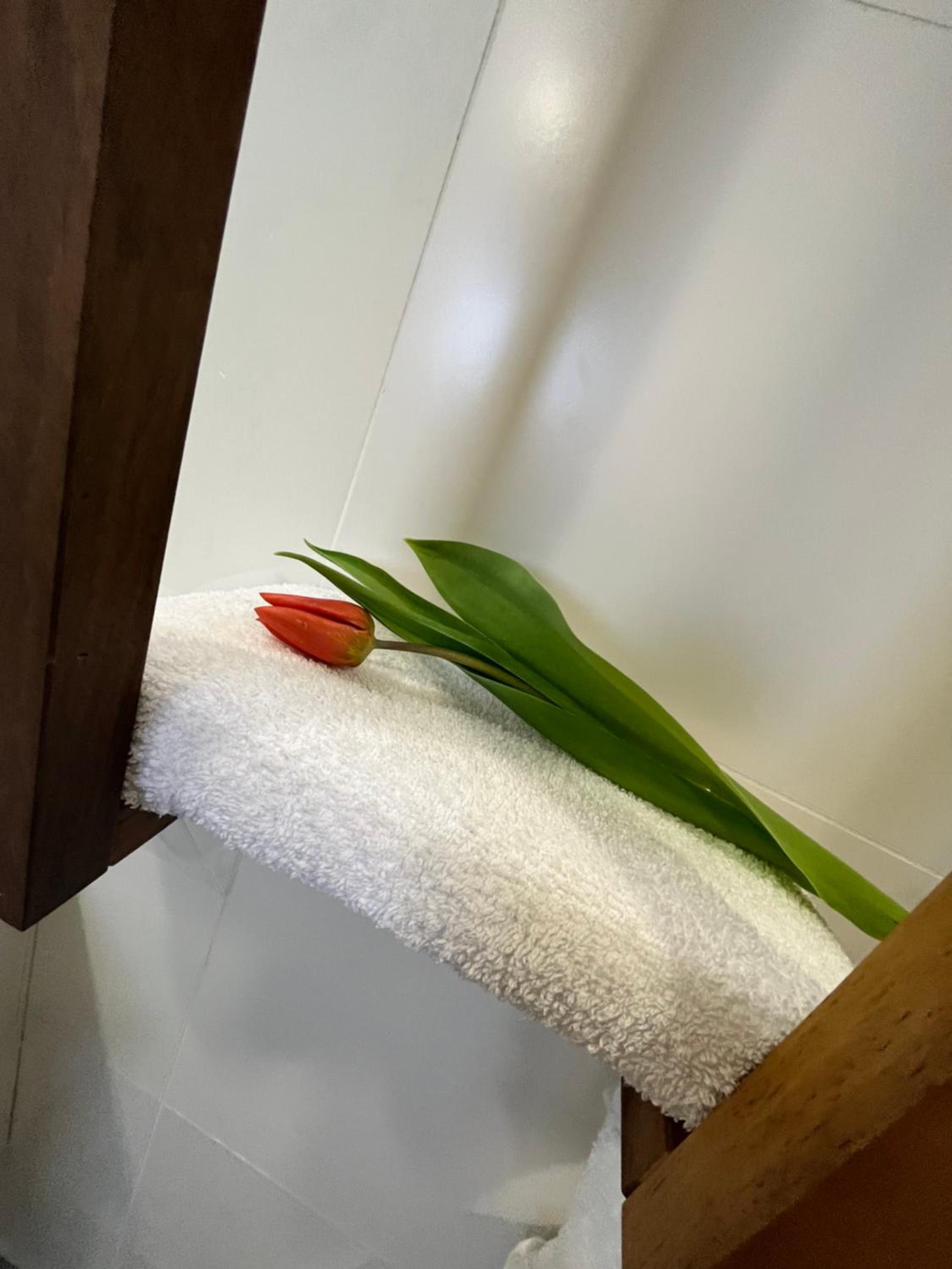 Photo 33