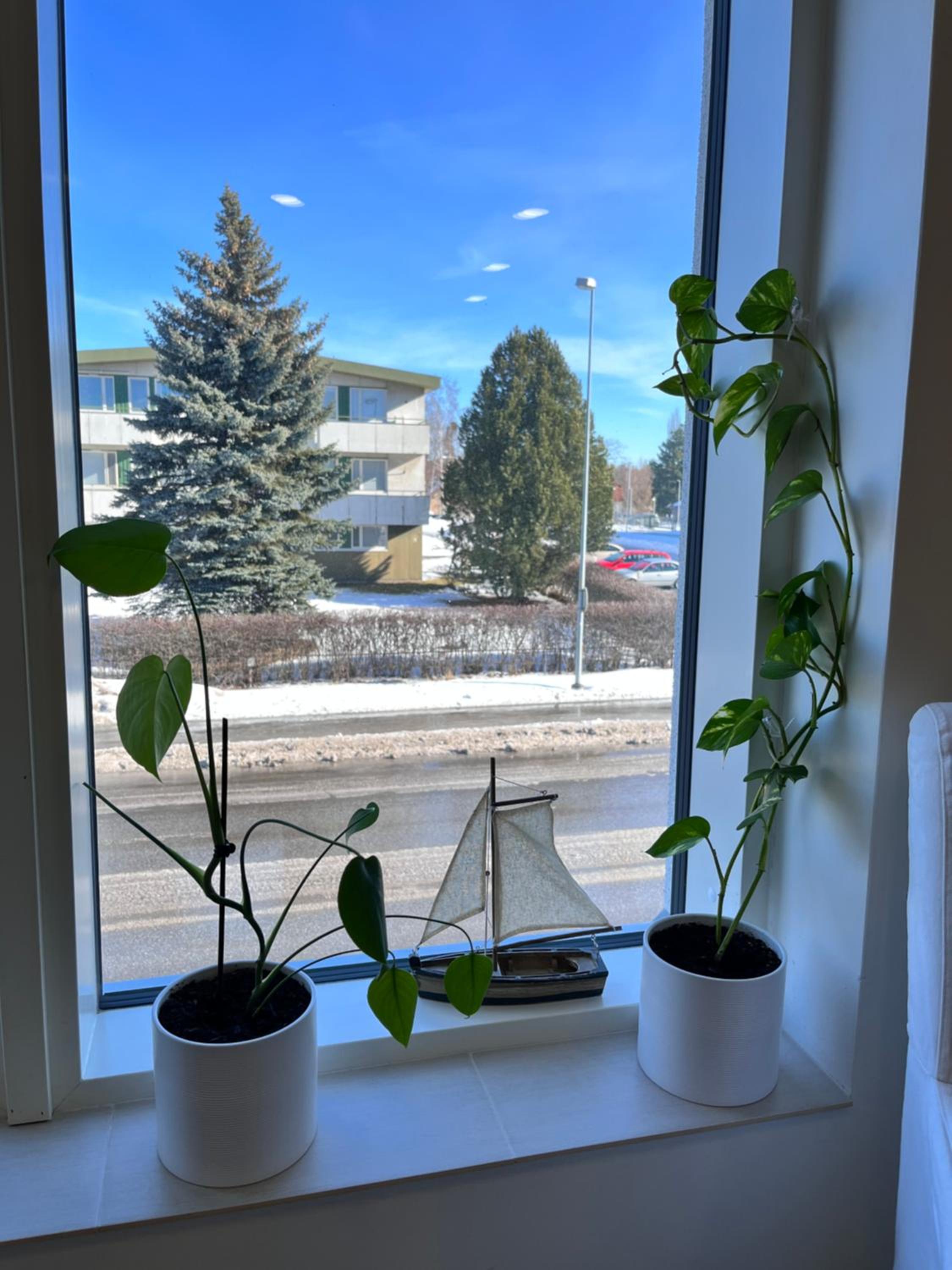 Pikku Flora