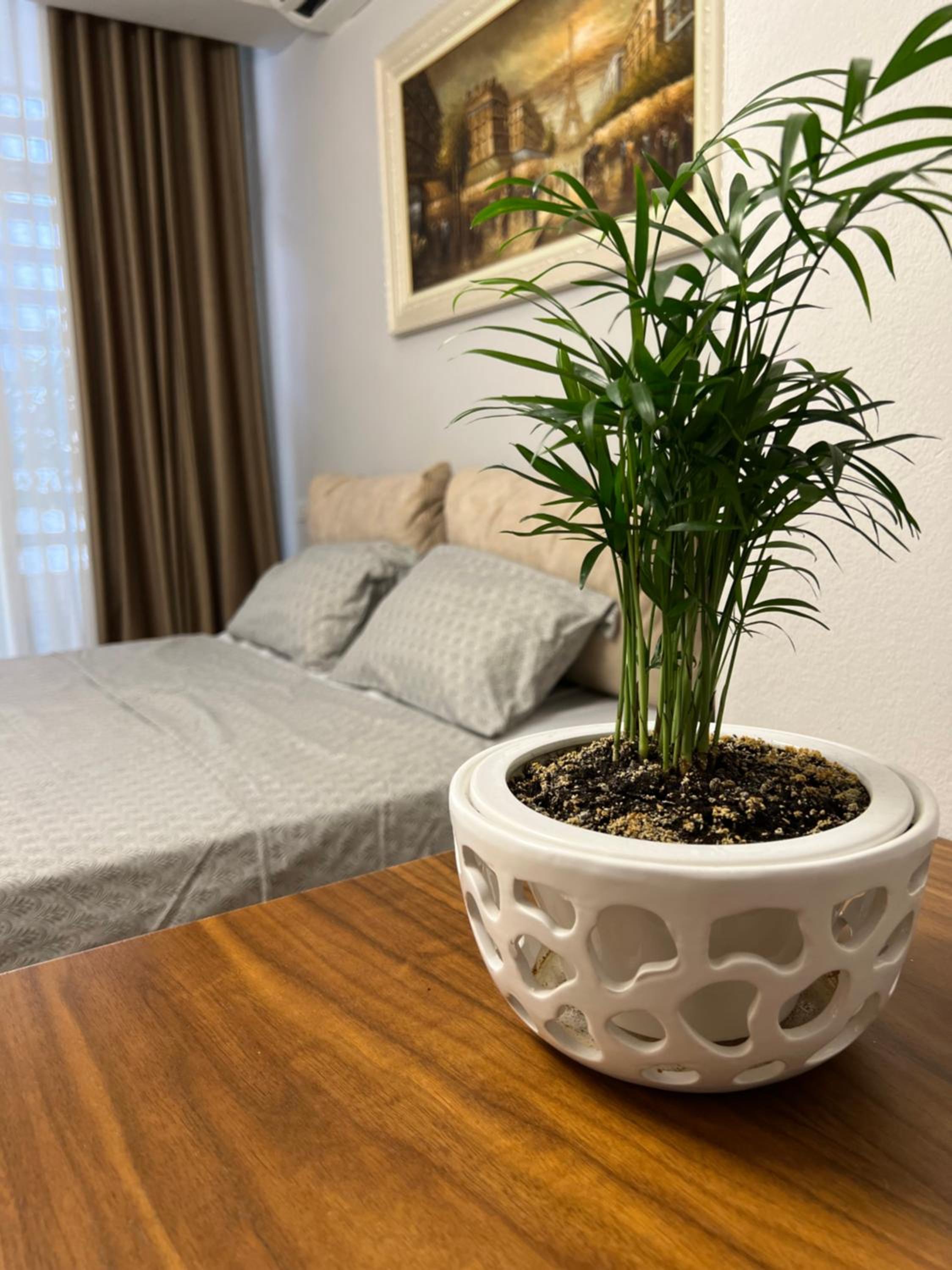 Olive Apartment Tirana