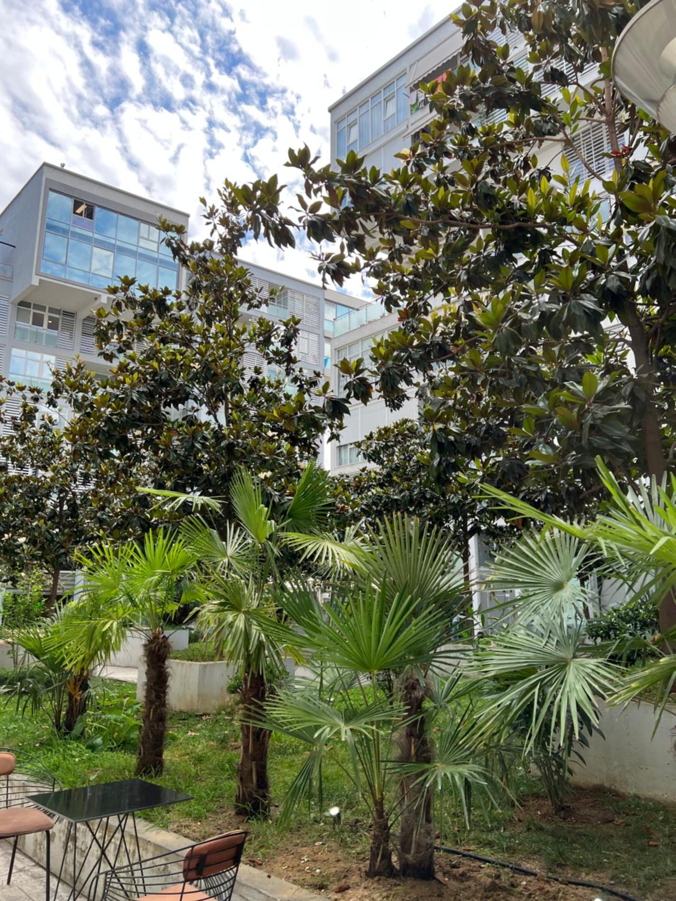 Olive Apartment Tirana