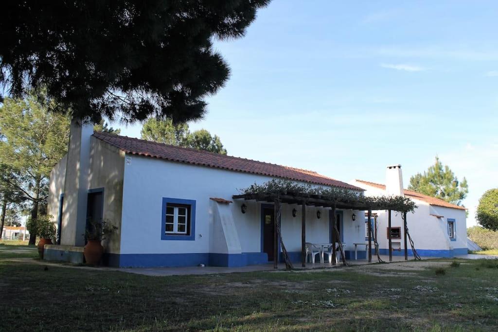 Casa do Pinheiro view 5