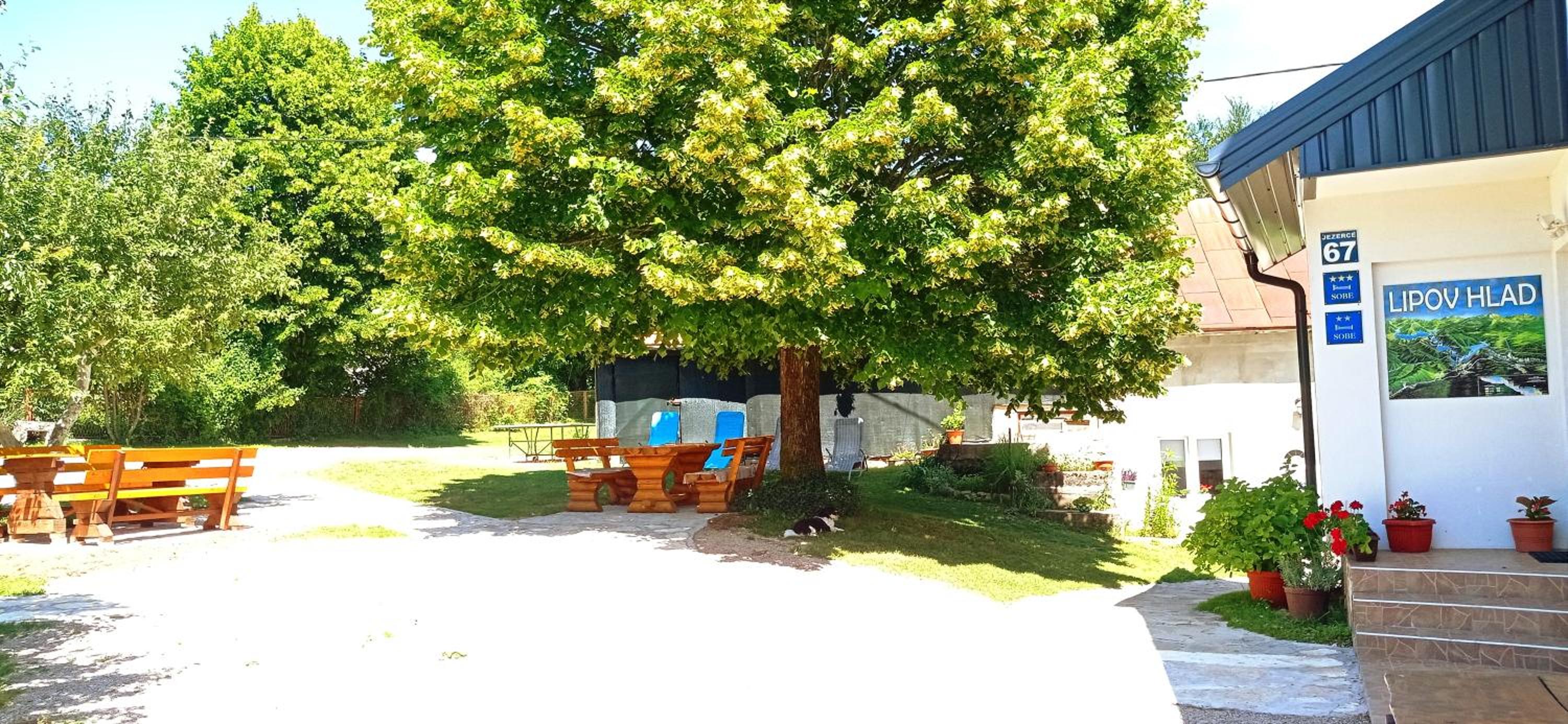 Photo 21