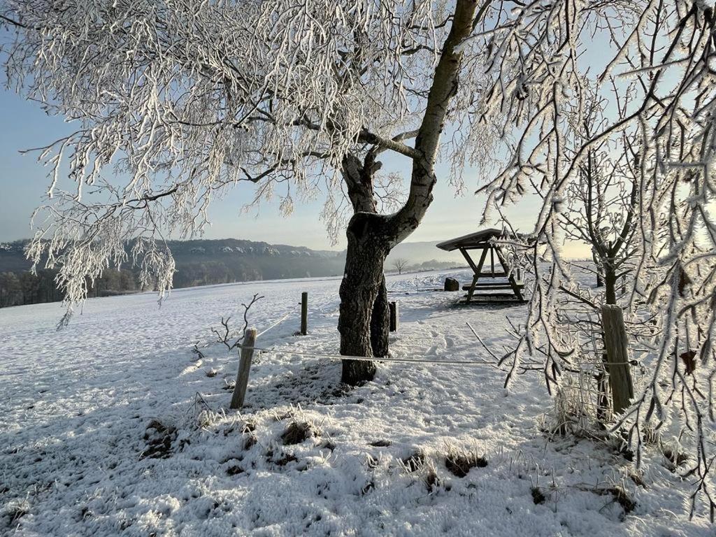 Apartment am Hochwald