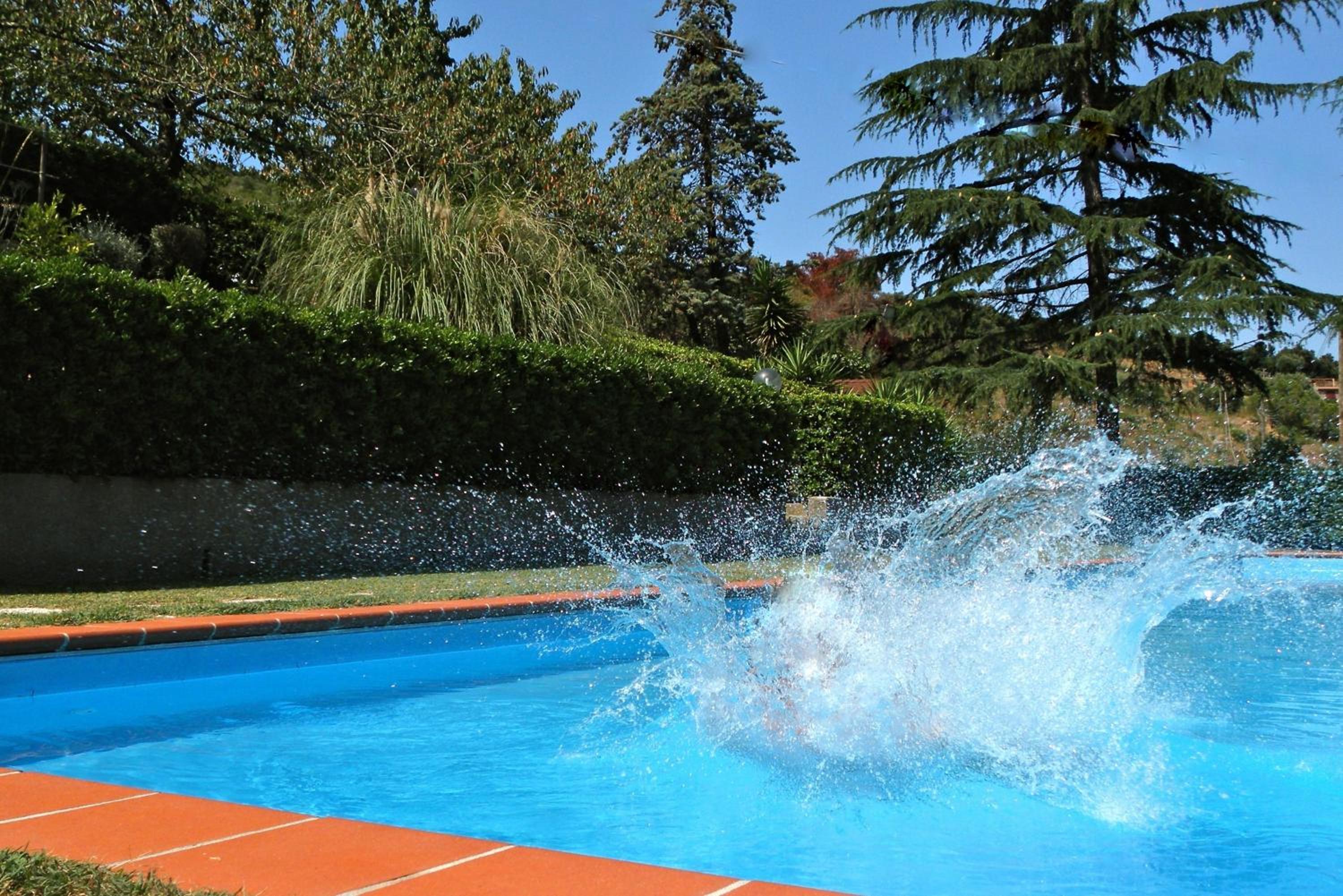 Photo 43