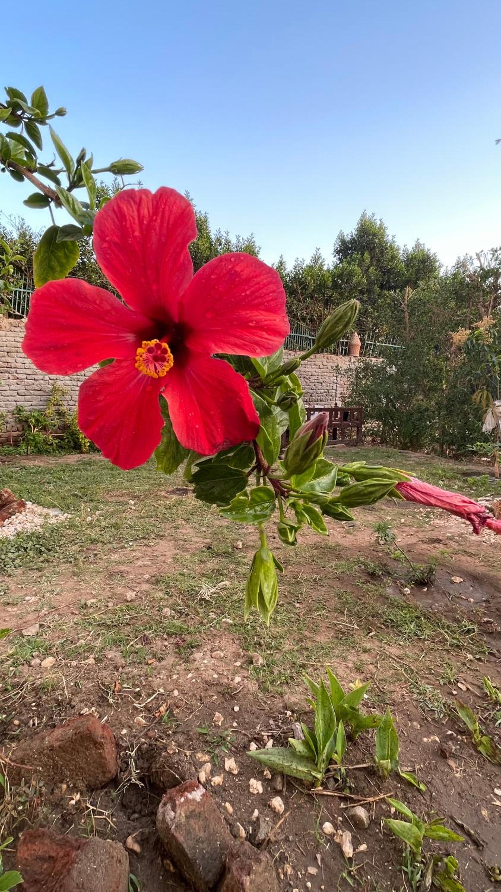 Photo 126