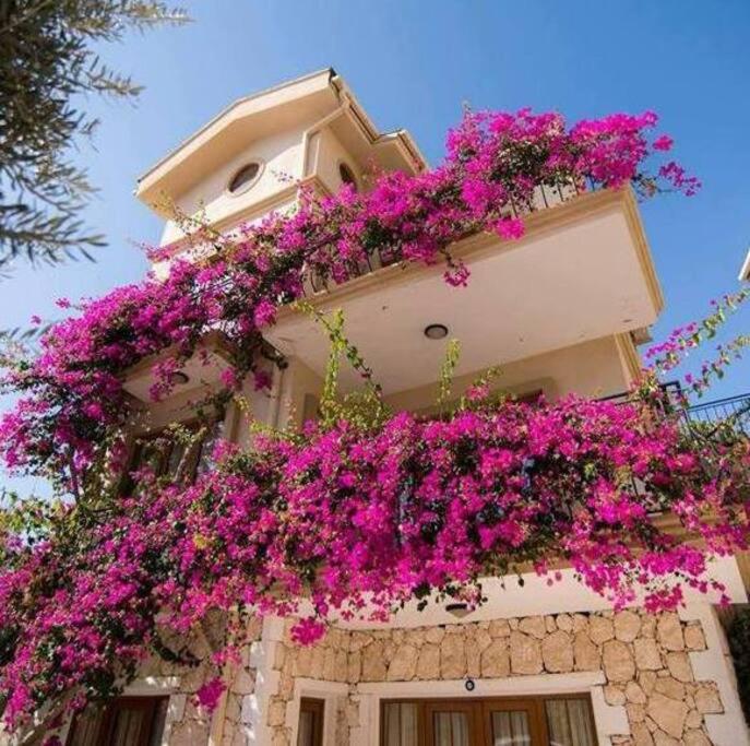Kleo Apartment Mediterranean Garden Complex Kalkan view 2