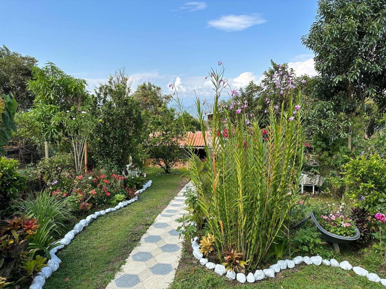 Hostal posada San jose