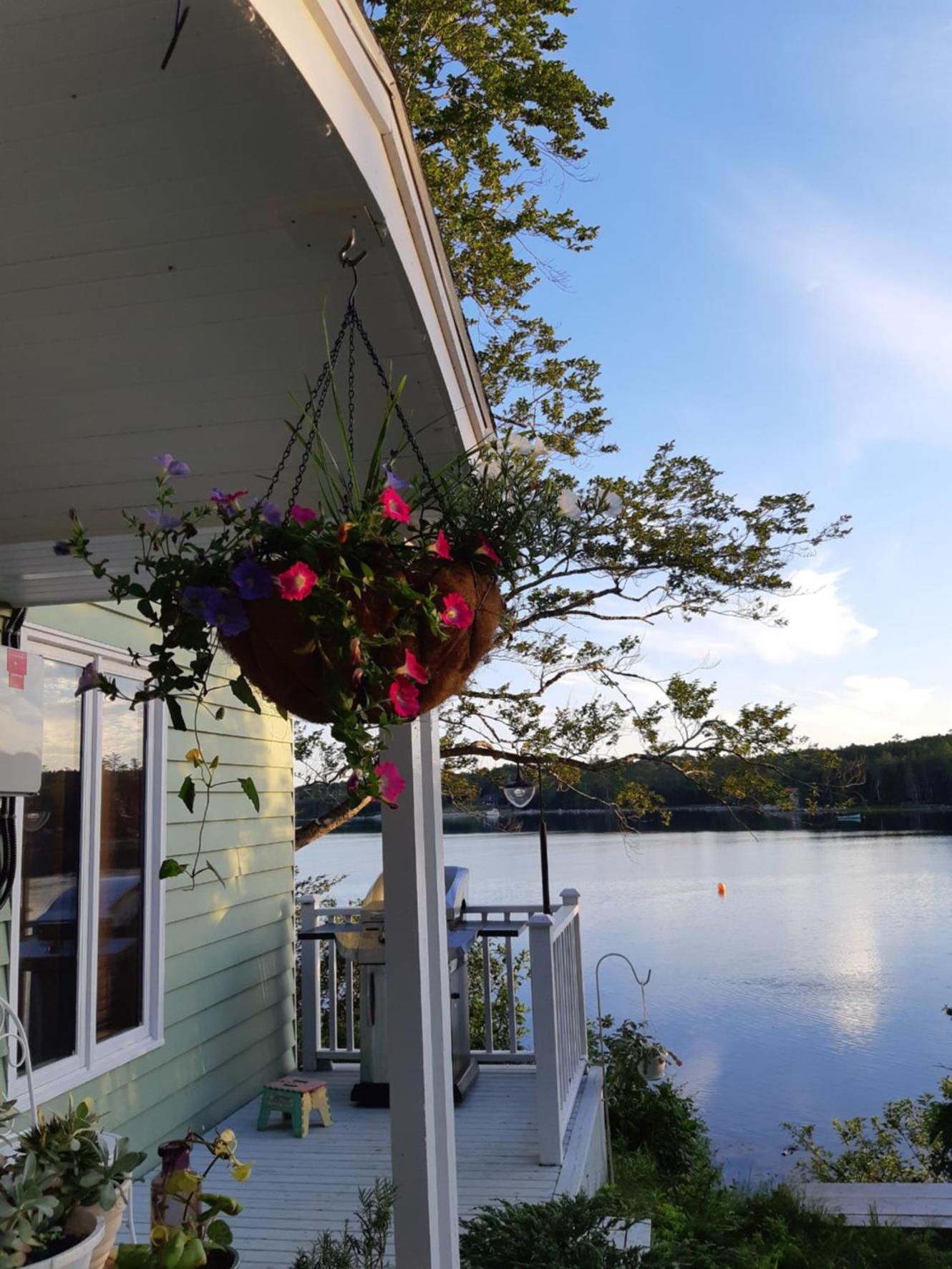Oceanfront Garden Cottage - Gateway to Attractions and Towns, Private Cove Mooring