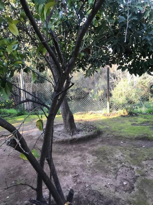 Casa de campo Santa Cruz