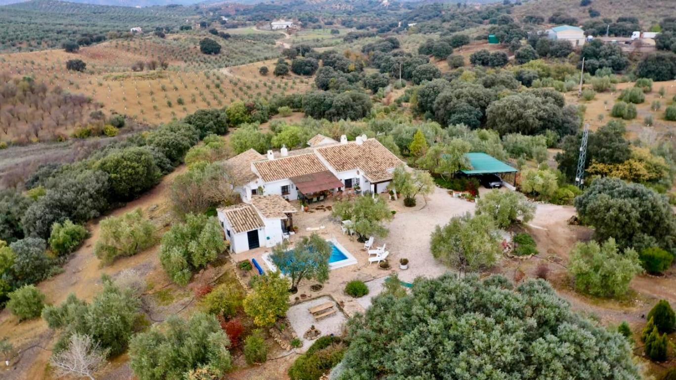 La Mejorana Refugio entre olivos view 4