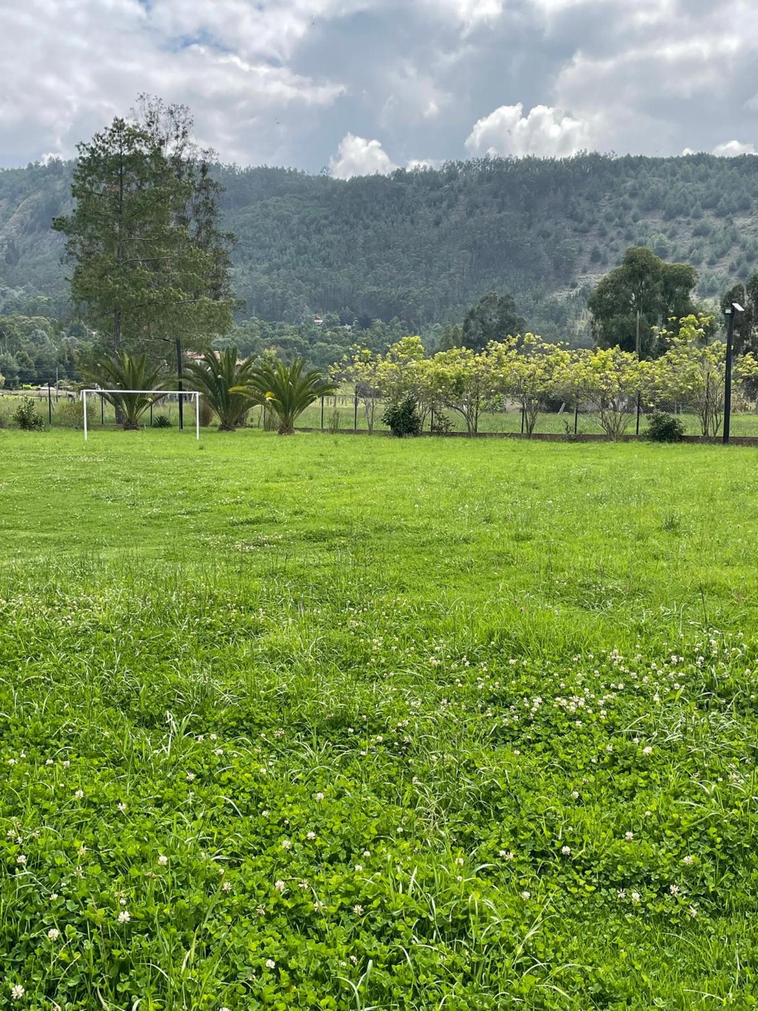Villa Alejandra