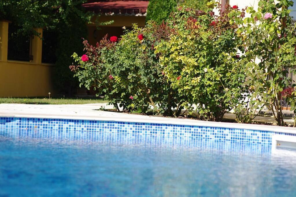 DeLuxe 2 Bedroom Apartment with Pool View MamaAfrica