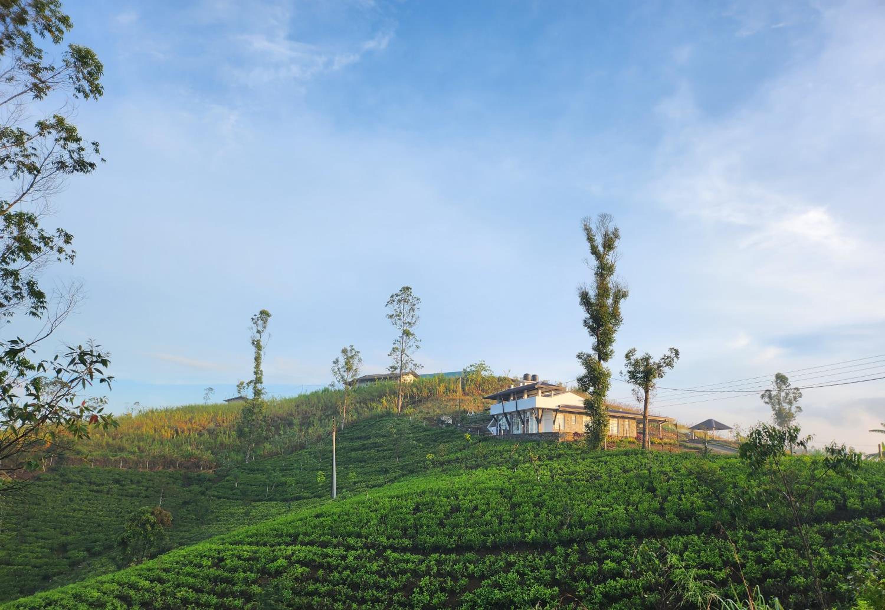 Tranquil Ridge Hilltop Bungalow
