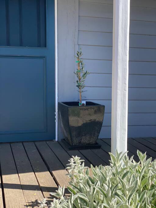 Woolbrook Cottage - Charming 1890's Heritage
