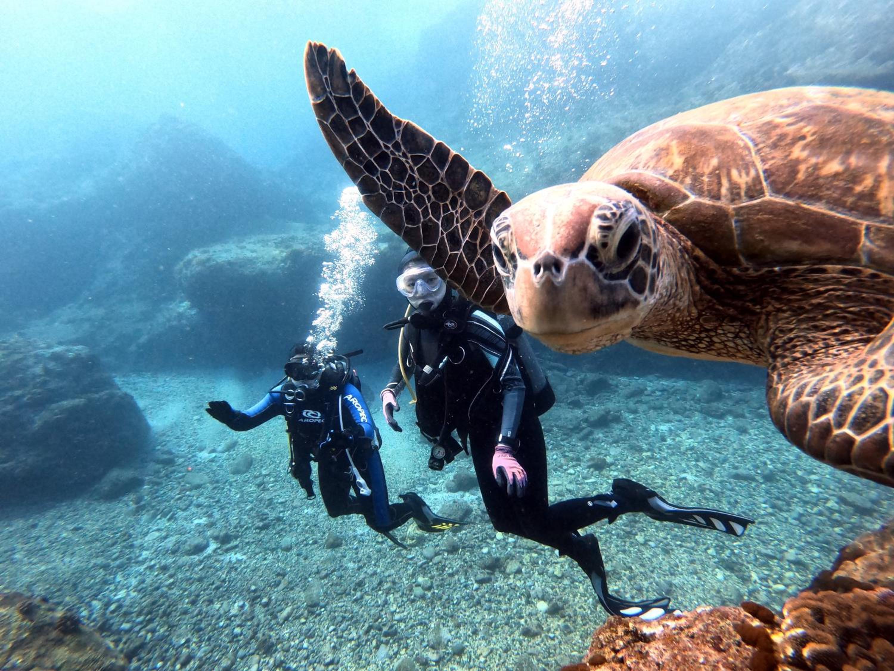 Oceans Explore Hostel