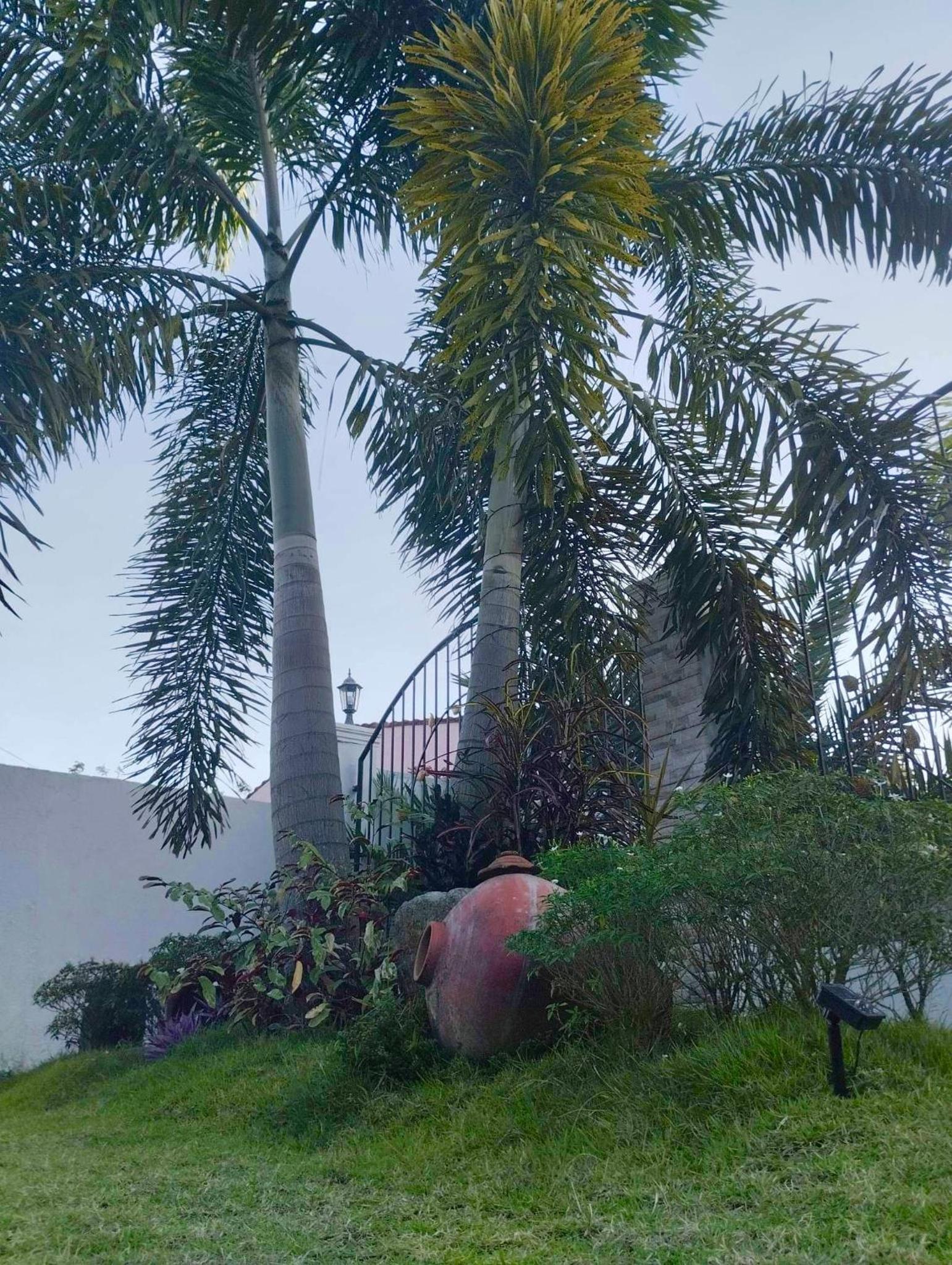 Casa LeoMa