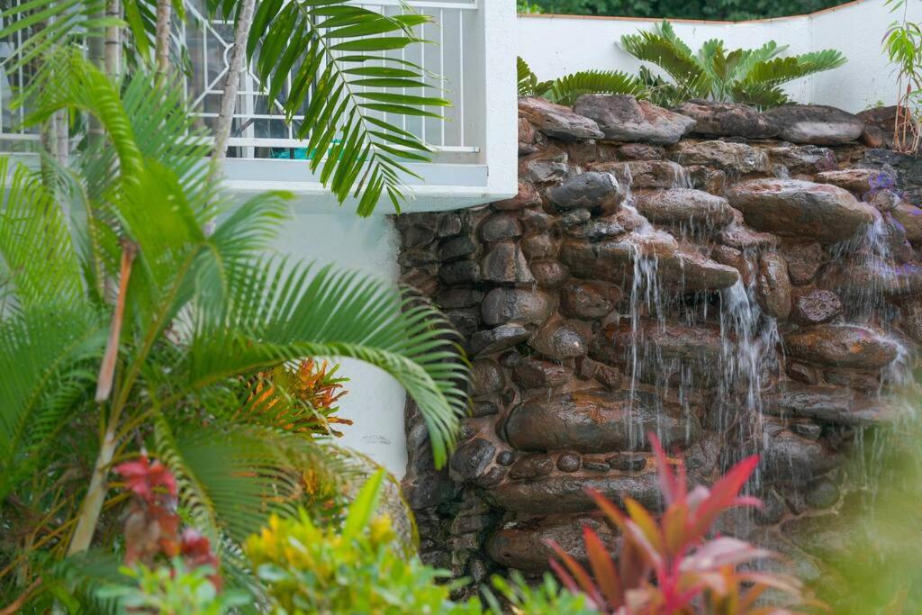 Beach Haven - Alassio Beachfront Resort - Palm Cove