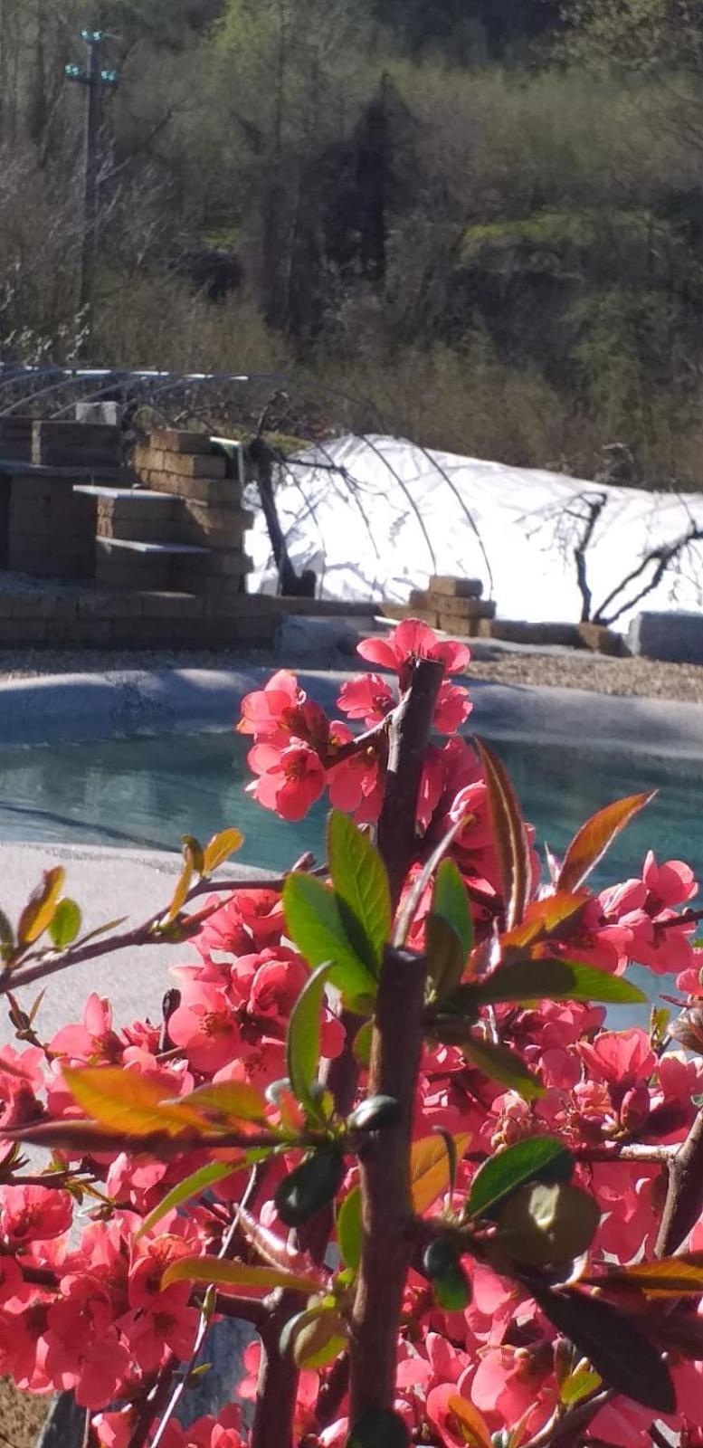 Agriturismo Cascina Knec