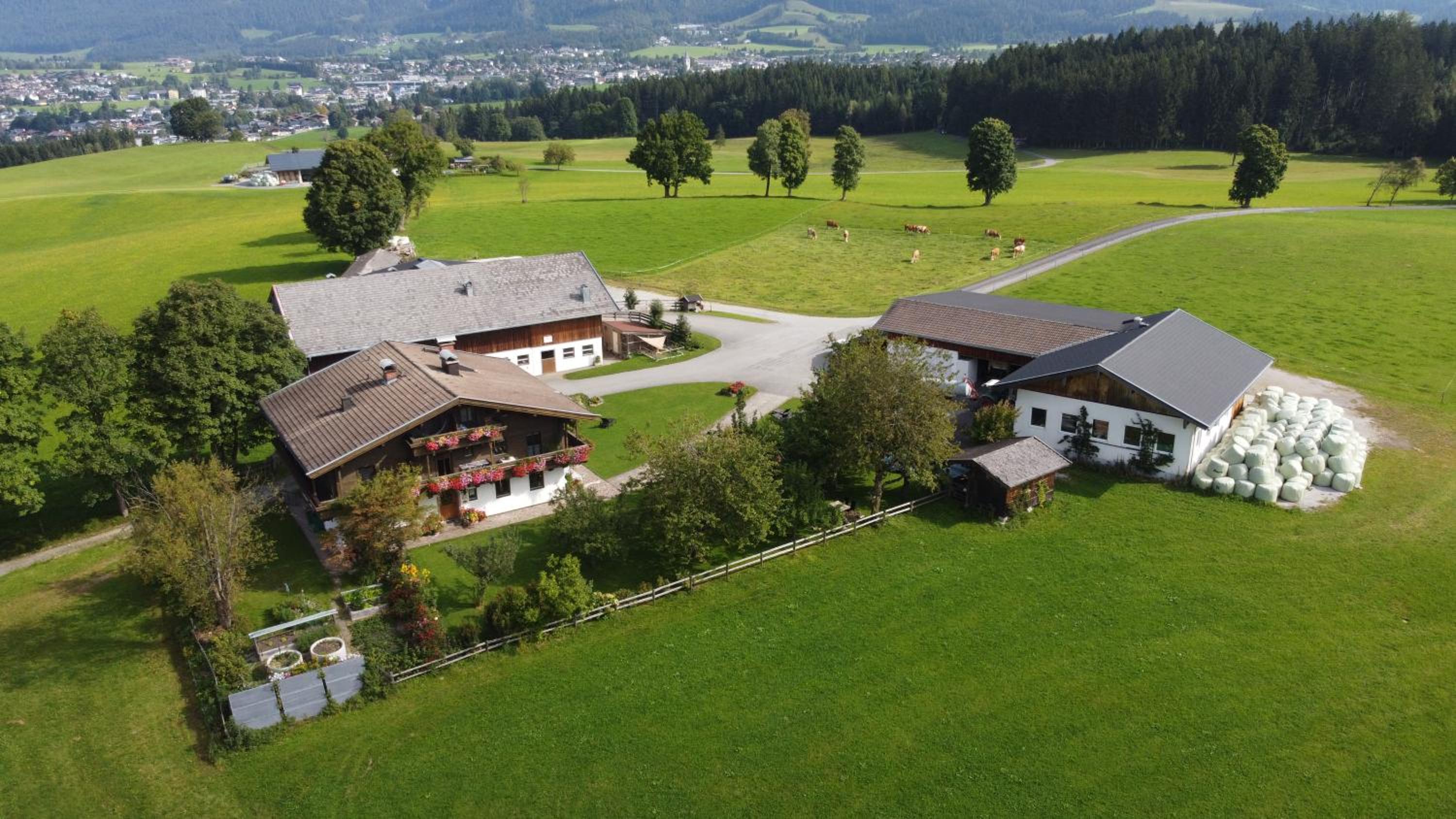 Oberhaslinghof